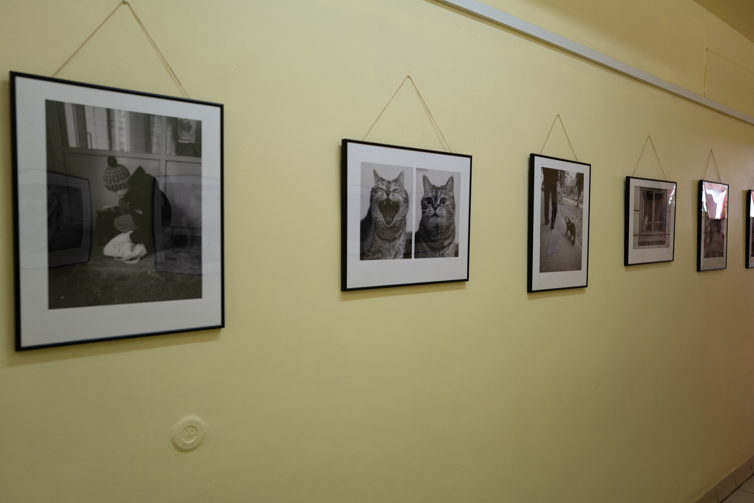 Выставка 01.04.2025. Фотограф Александр Тихонов