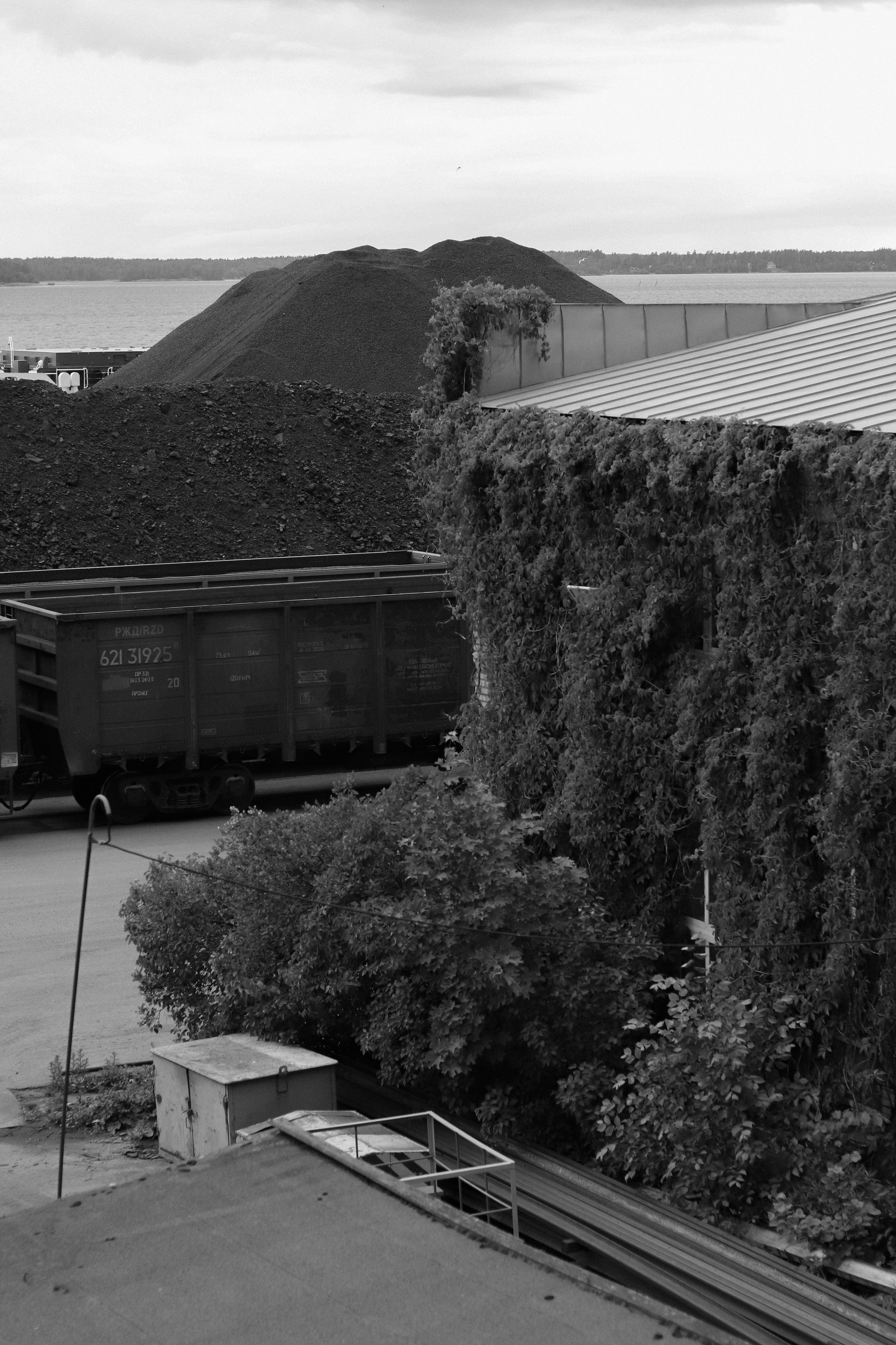 Contour. Фотограф и исследователь фотографии из Санкт-Петербурга Елизавета Веприцкая