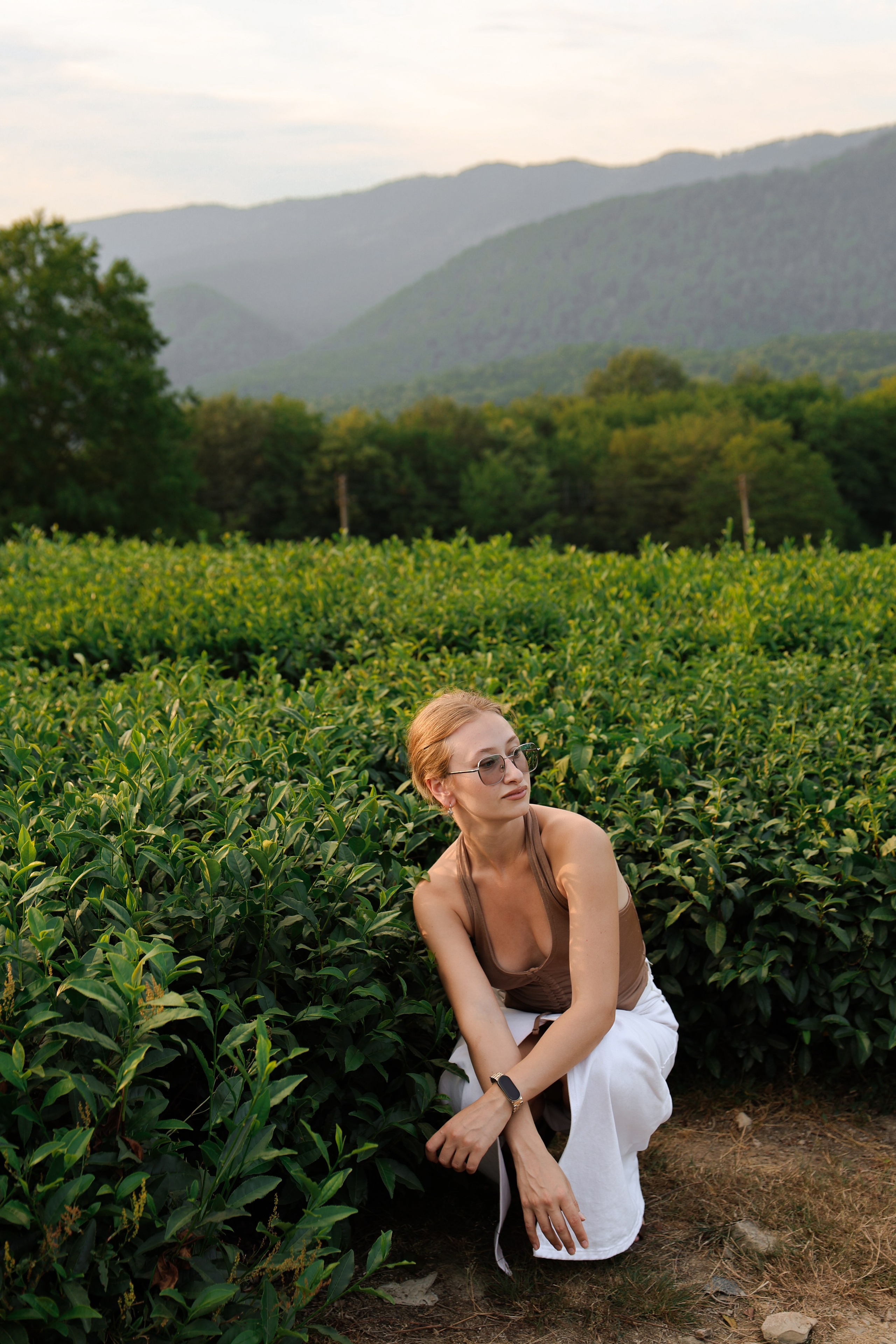 ЧАЙНЫЕ ПЛАНТАЦИИ. Фотограф Москва Оля Олбимак