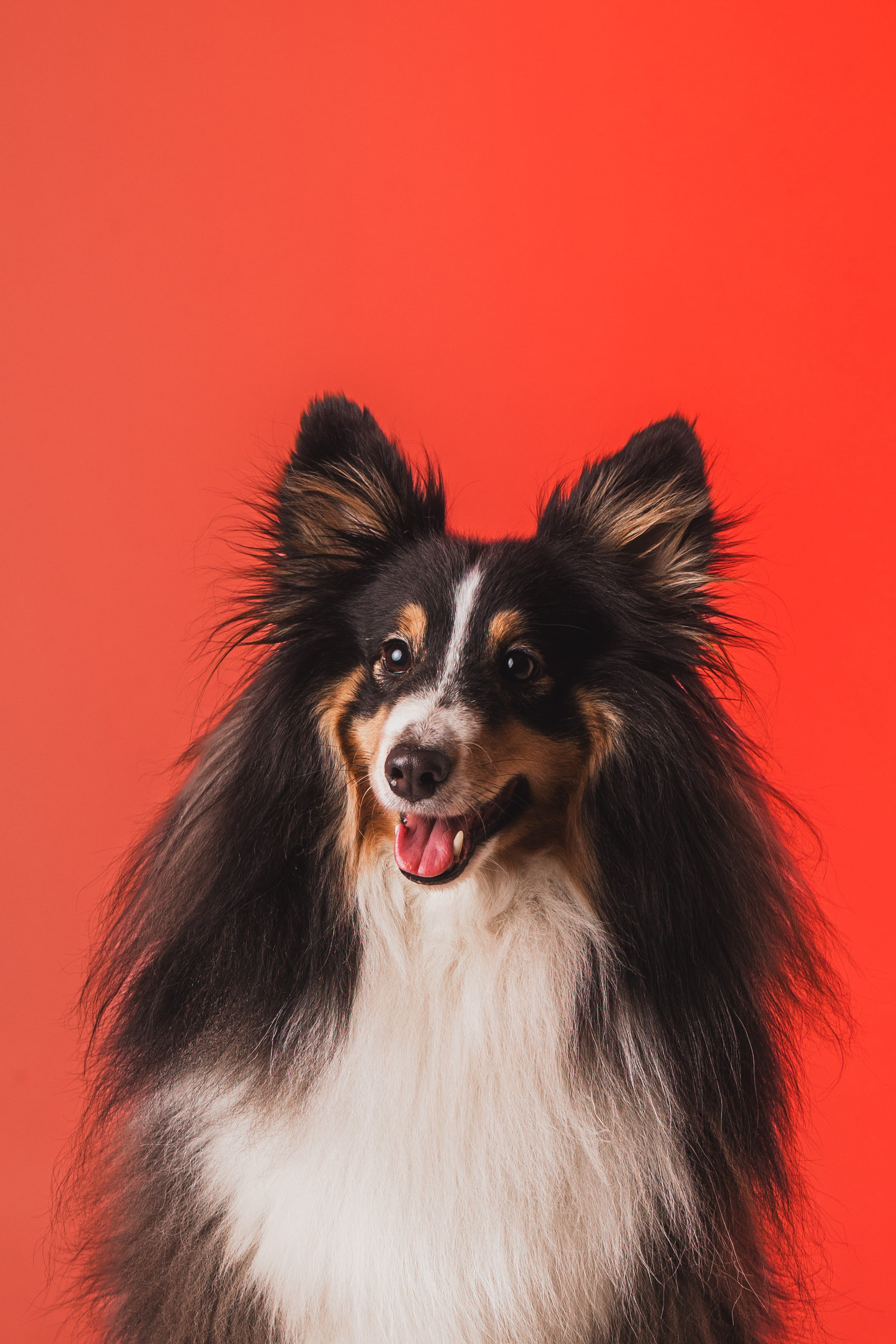 Воркшоп по импульсному свету