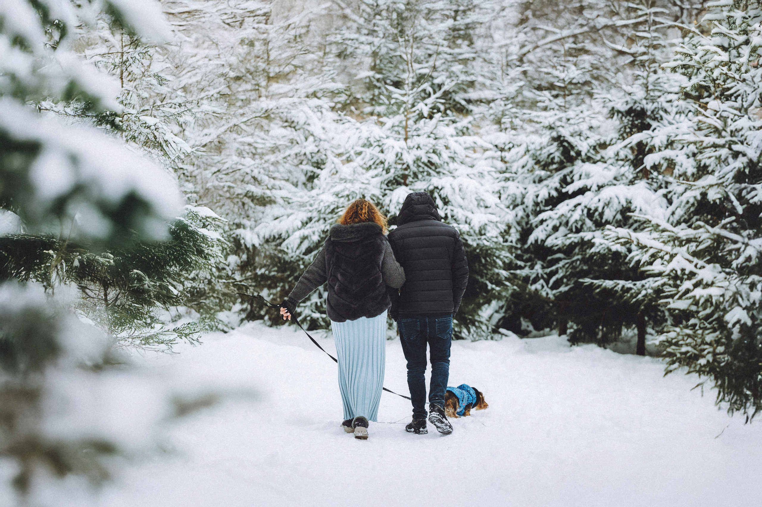 Каспер и его семья