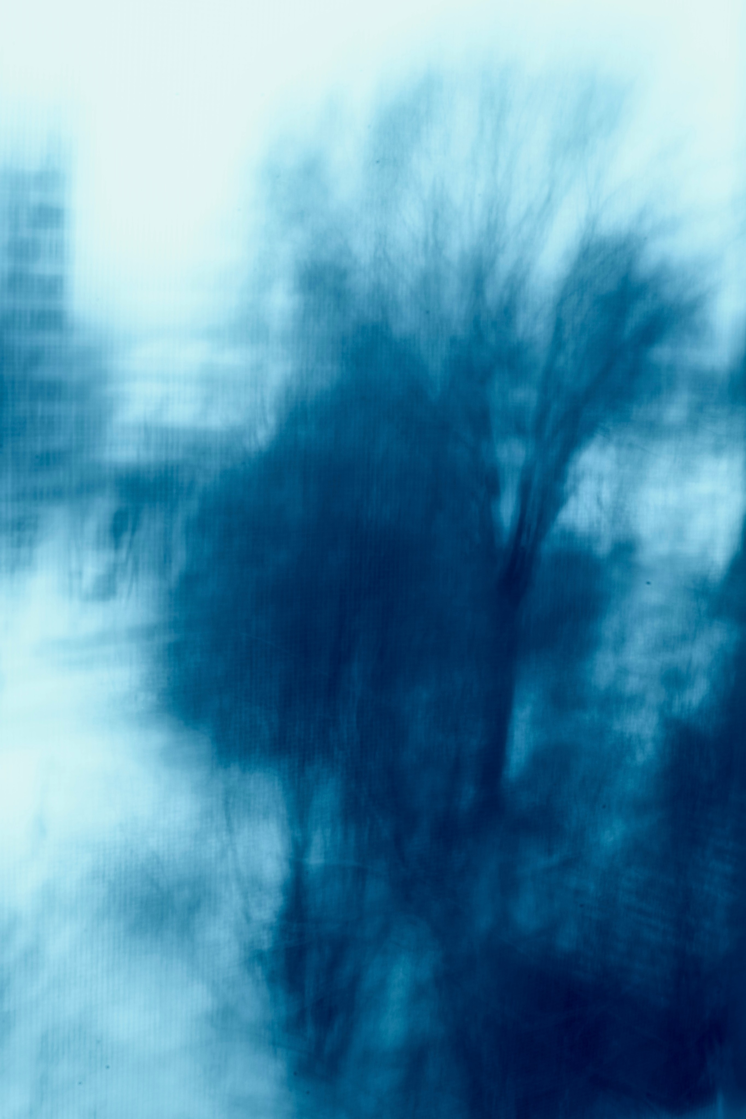 Art. Арт — фотограф Евгений Наймушин Новокузнецк