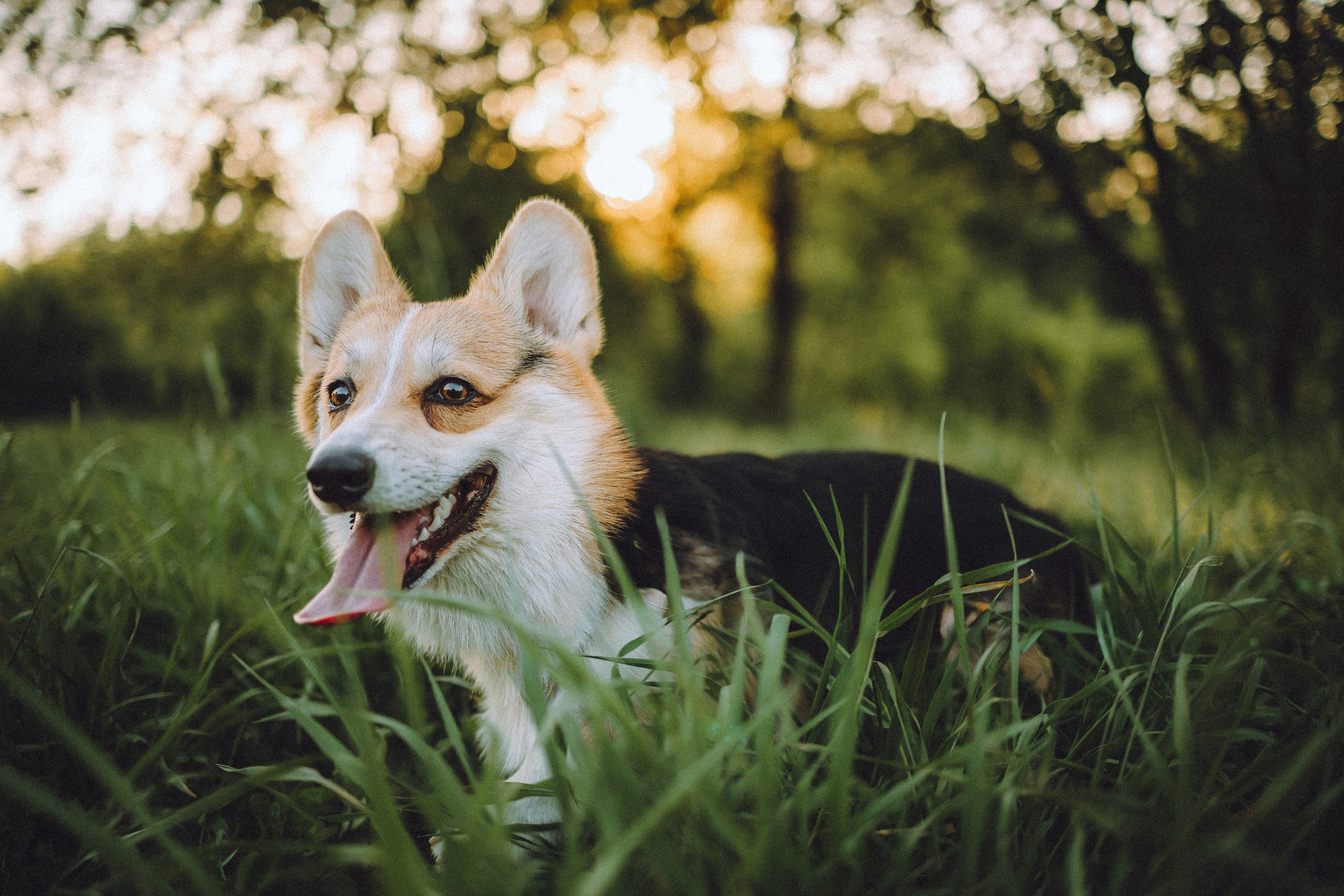 Илай, Зайка и их семья