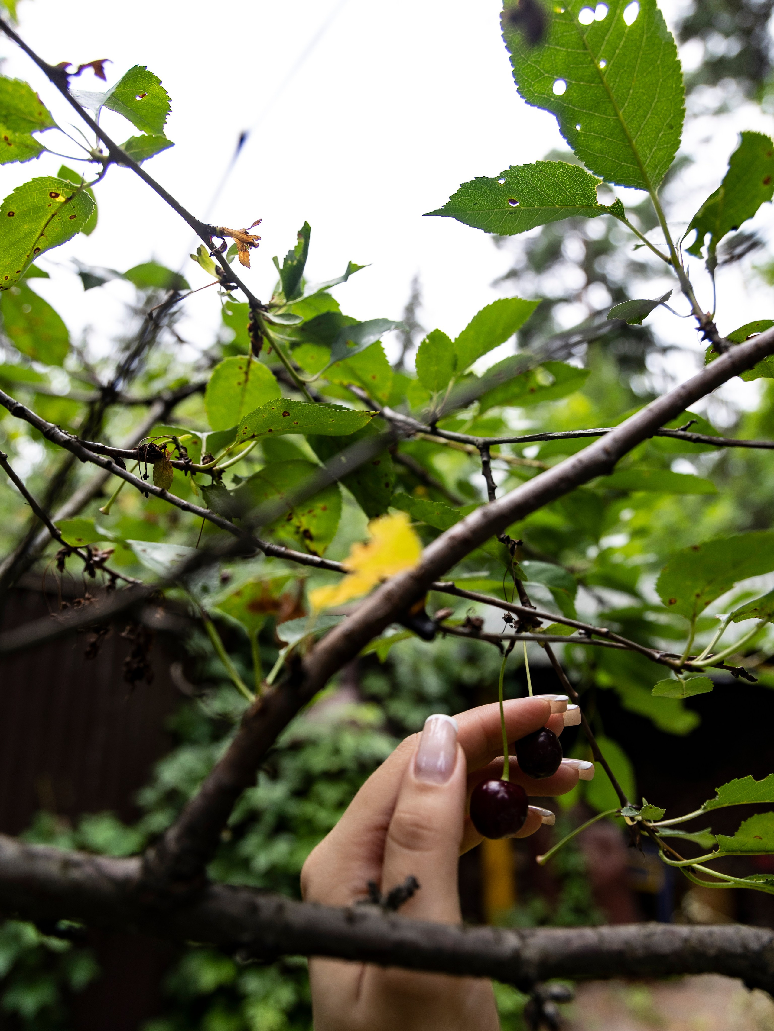 Фотограф Татьяна Марсуверских г. Жуковский, Москва и Мо. Репортажные съёмки, фотосессии. Детский, семейный фотограф. Фотограф для маркетплейсов, фотоуслуги в Жуковском Татьяна Марсуверских
