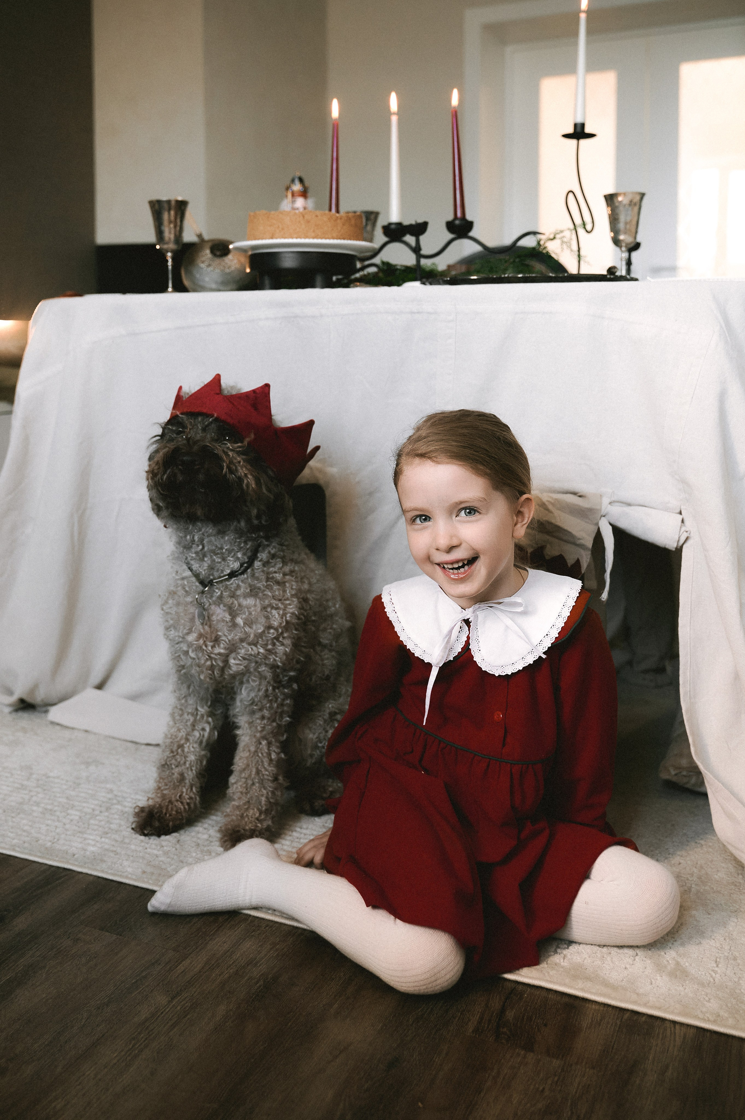 Рождество дома. Фотограф Регина С