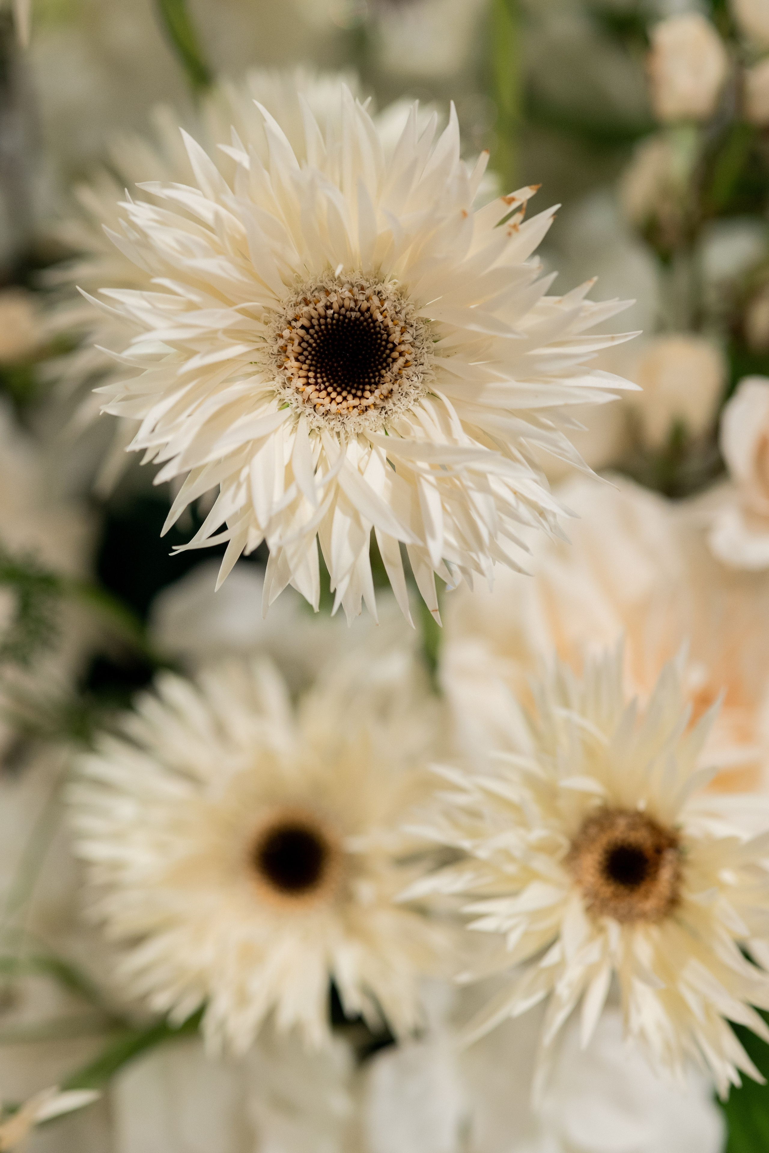 P & T. Tarasov-stroganova.ru