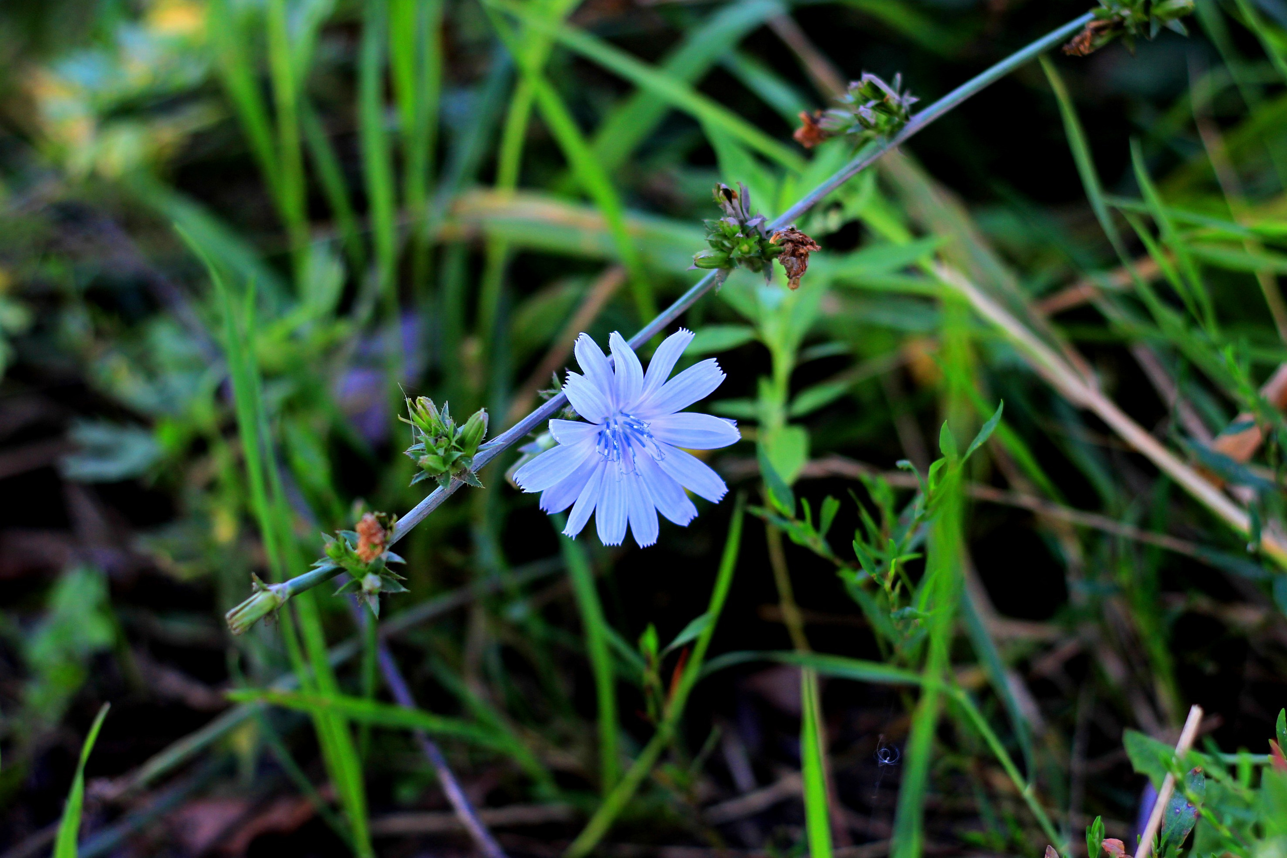 Природа. Команда фотографов Кристины Ивановой