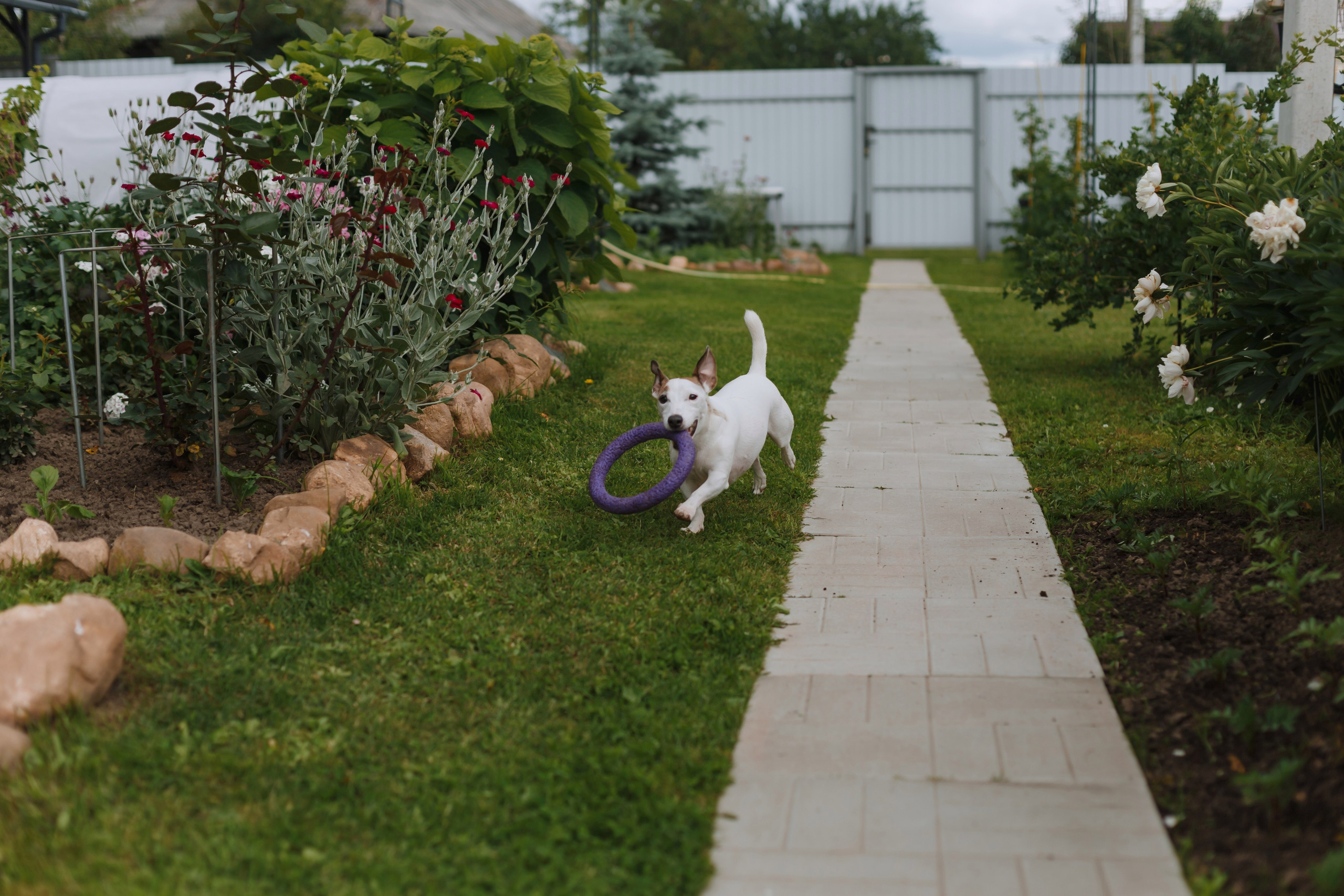 Большое Олино семейство. Профессиональный фотограф Надежда Антонова