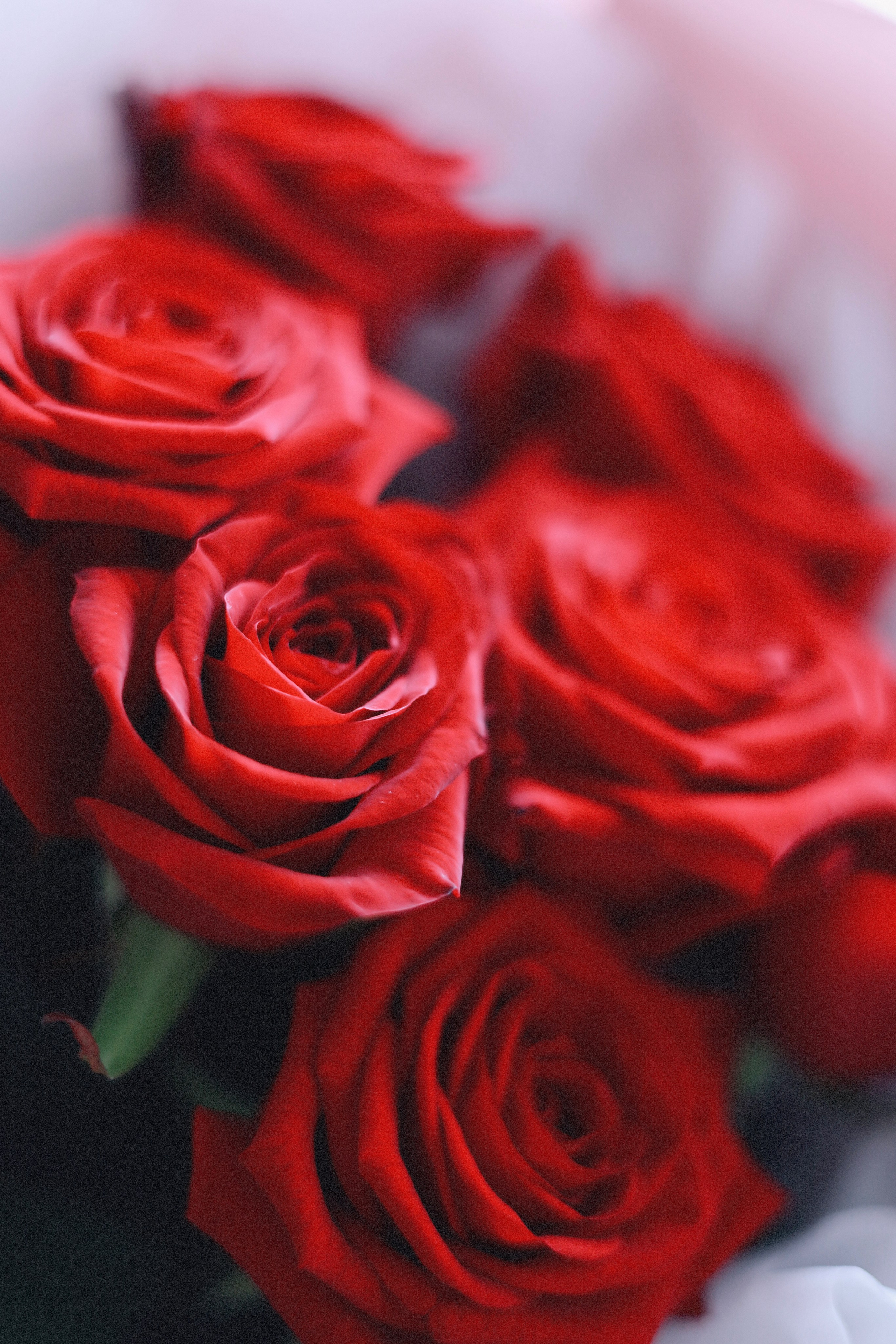 Все, что вокруг меня. Фотограф Евгения Ошкина, Саранск