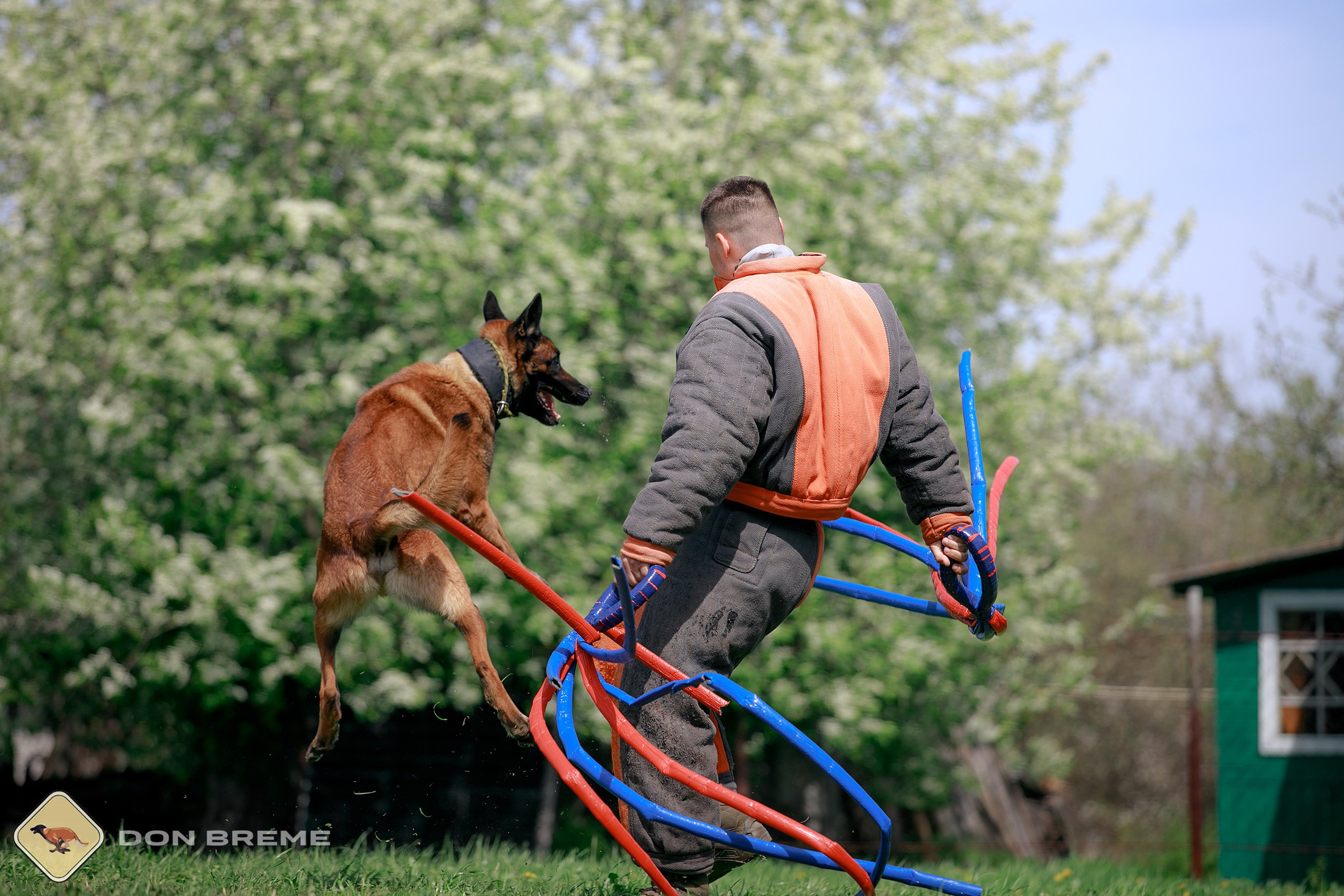 Семинар для фигурантов, день 4. Фотограф-анималист Mary Mart — Москва, Питер