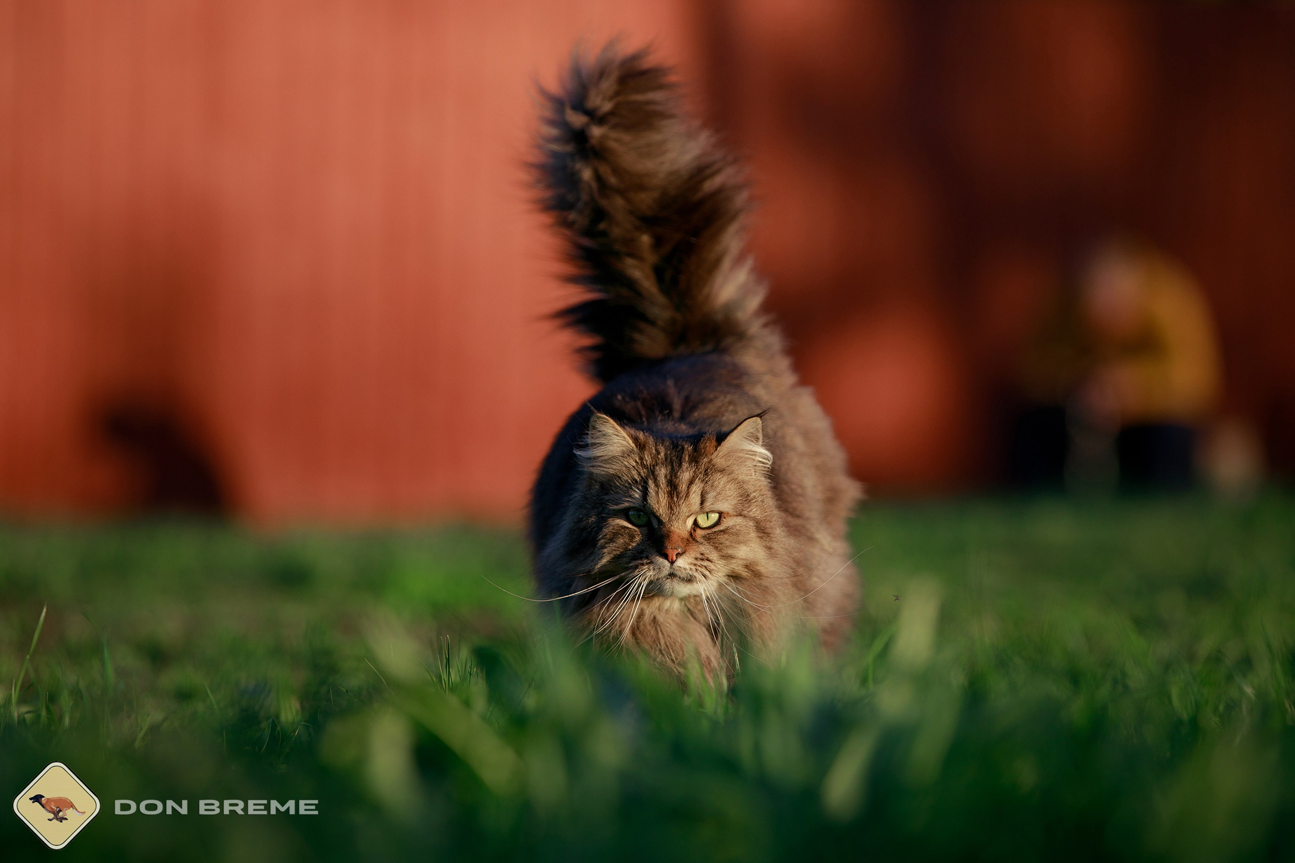 Семинар для фигурантов, день 3. Фотограф-анималист Mary Mart — Москва, Питер