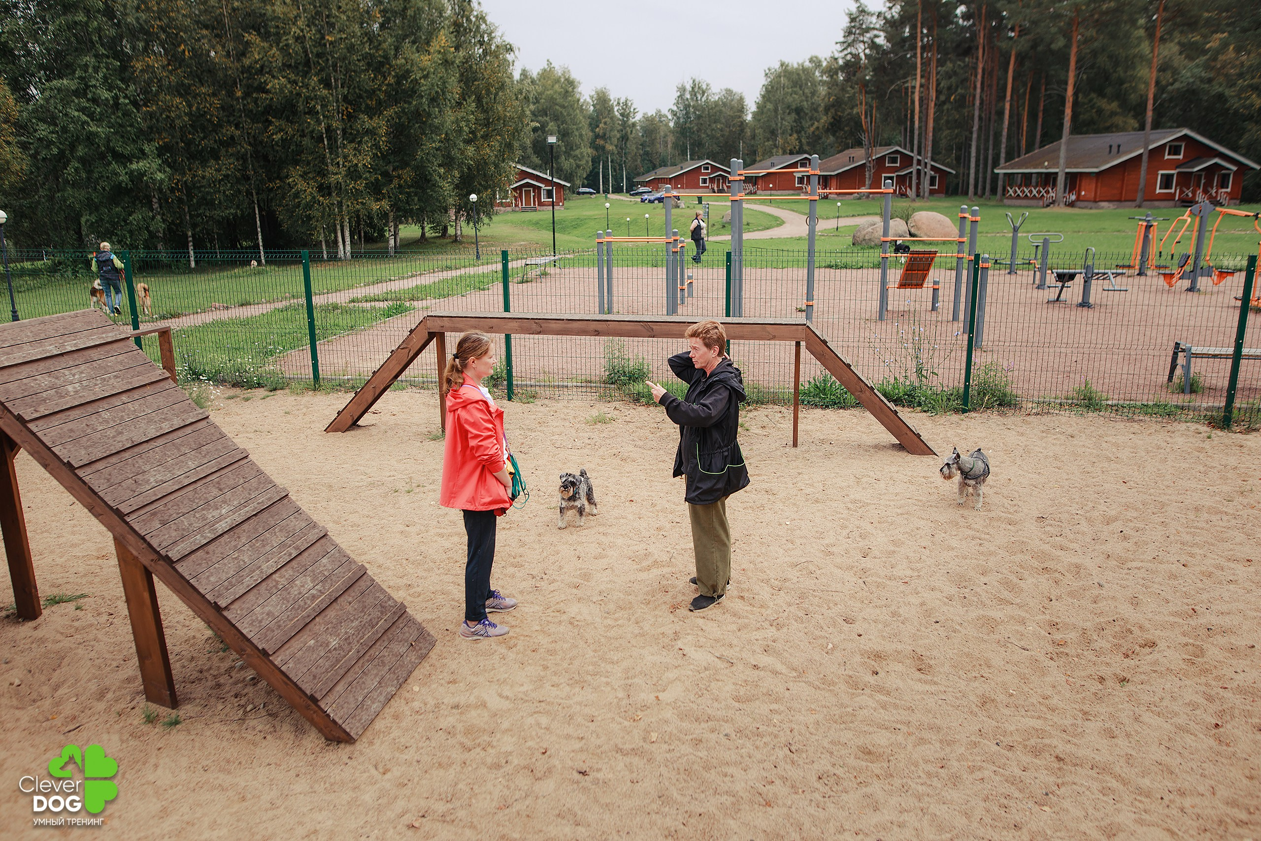 Кинологический лагерь CleverDog, 2024. Фотограф-анималист Mary Mart — Москва, Питер