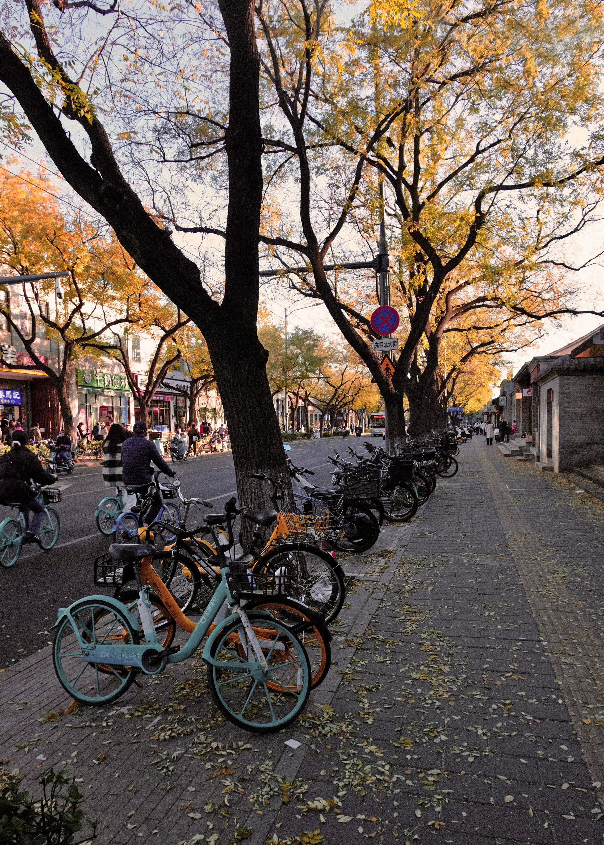 Beijing China. Интерьерный архитектурный фотограф | interior architectural photographer