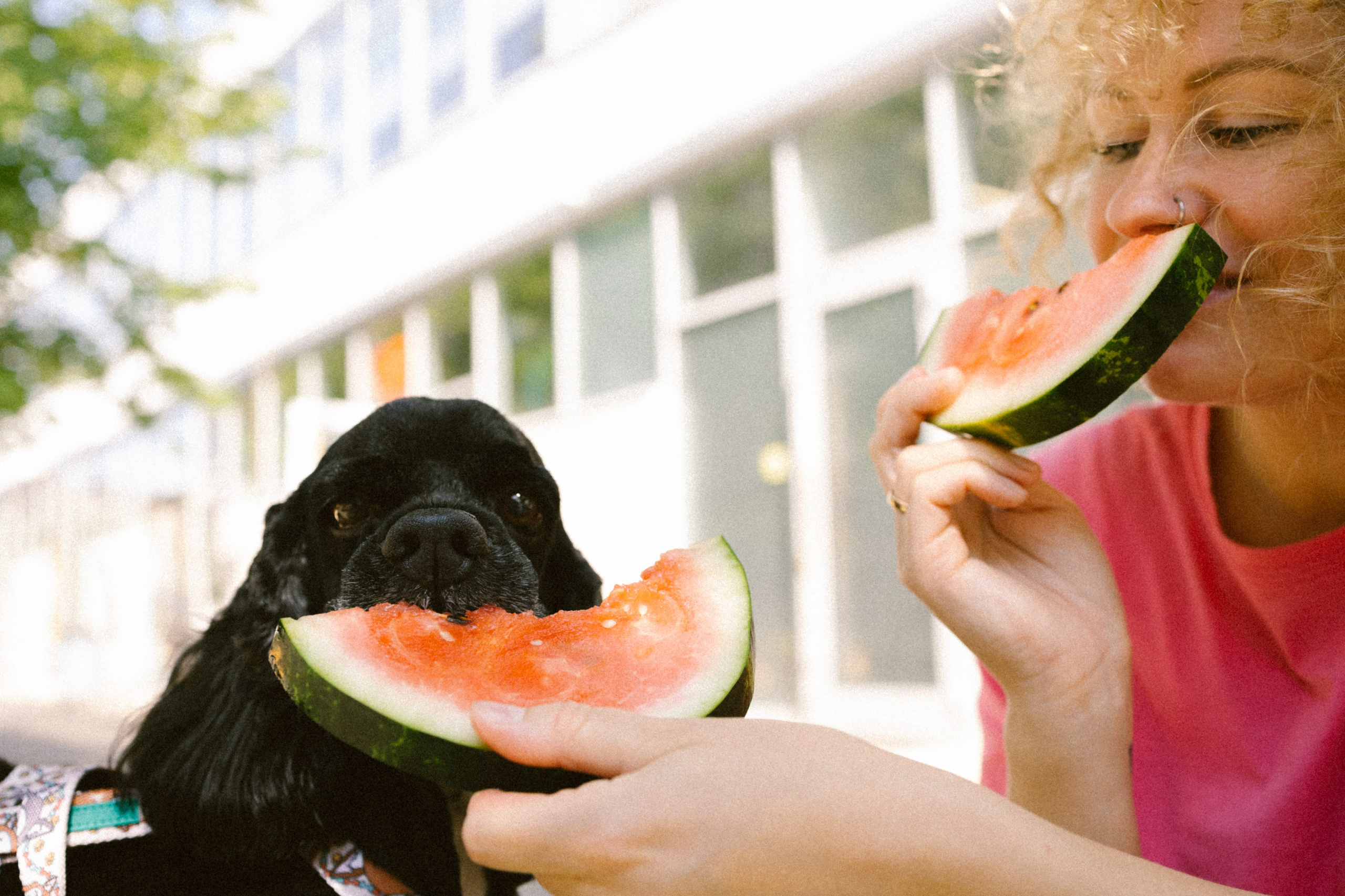 Катя и Плю. Главная