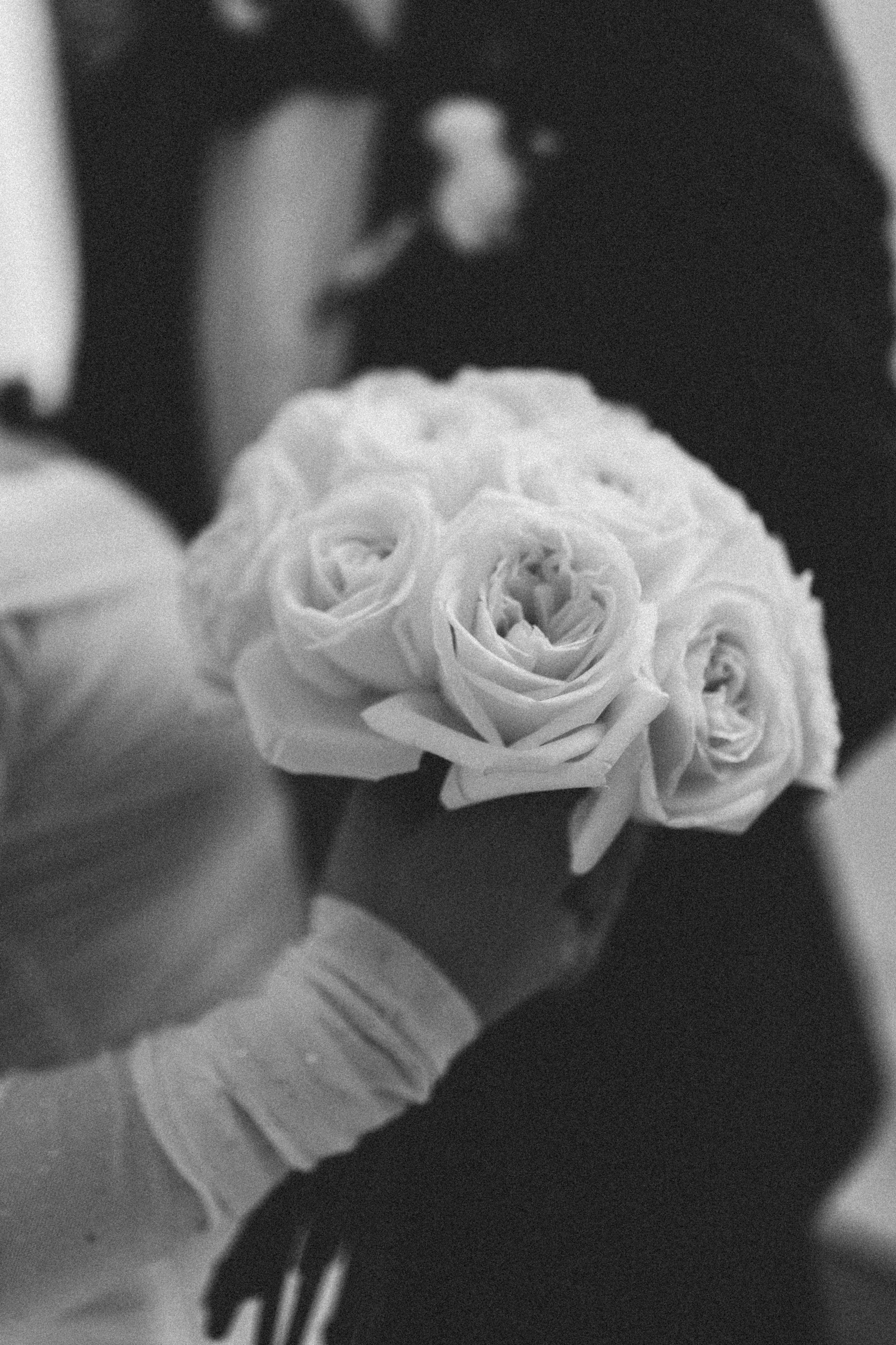 Мария и Алексей. Фотограф в Санкт-Петербурге