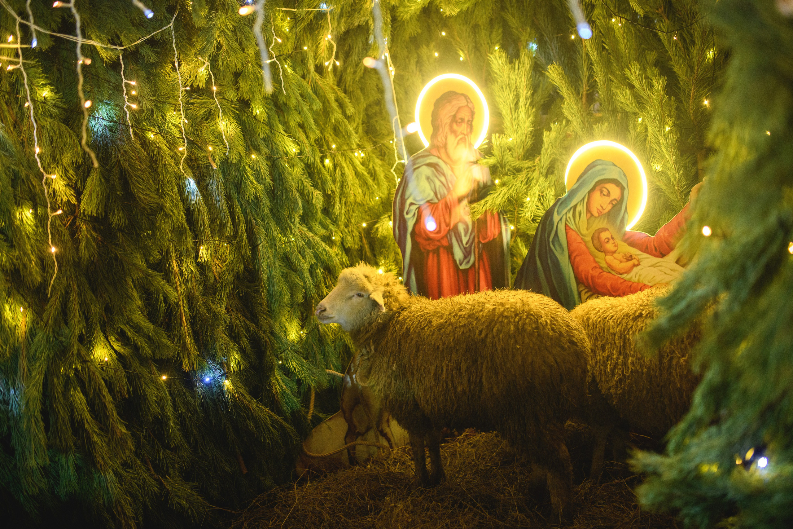 Рождество Христово 7.01.2024. Семейный и свадебный фотограф в Феодосии и Коктебеле