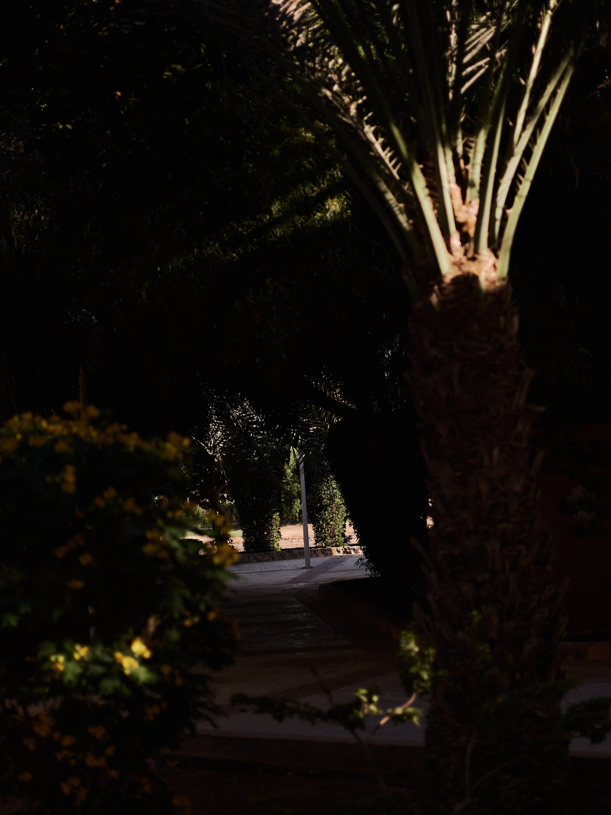 Другое 4. Jorgis — фотограф в Хургаде / обучение фотографии