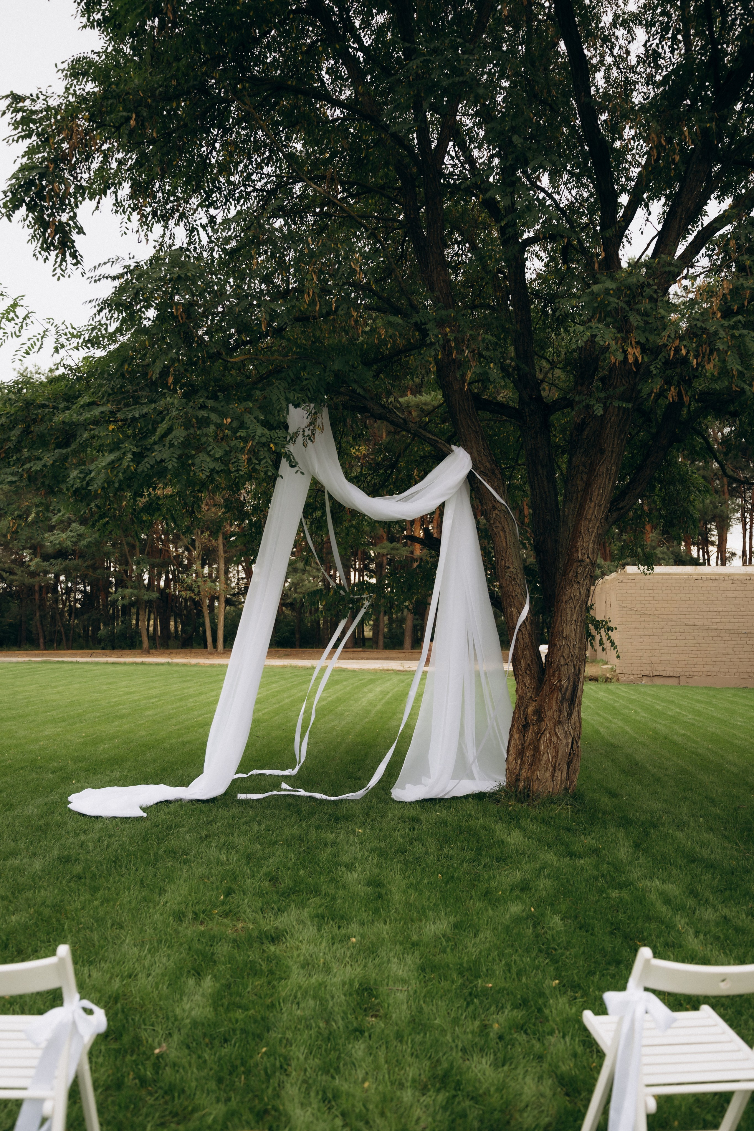 Виктория и Богдан. Ирина Гонтарева|Фотограф|Белгород