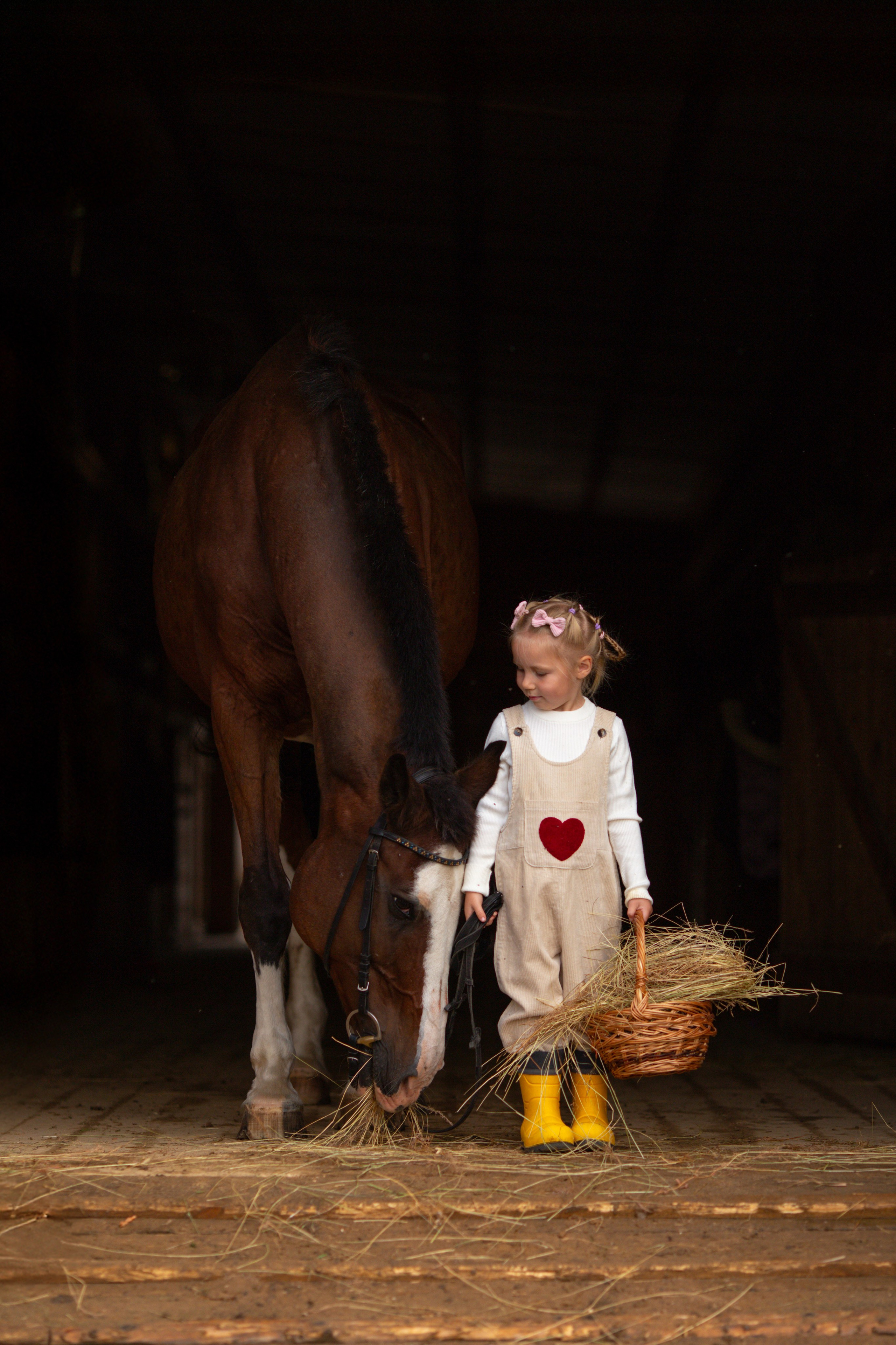 Детская фотосессия на ферме в СПб