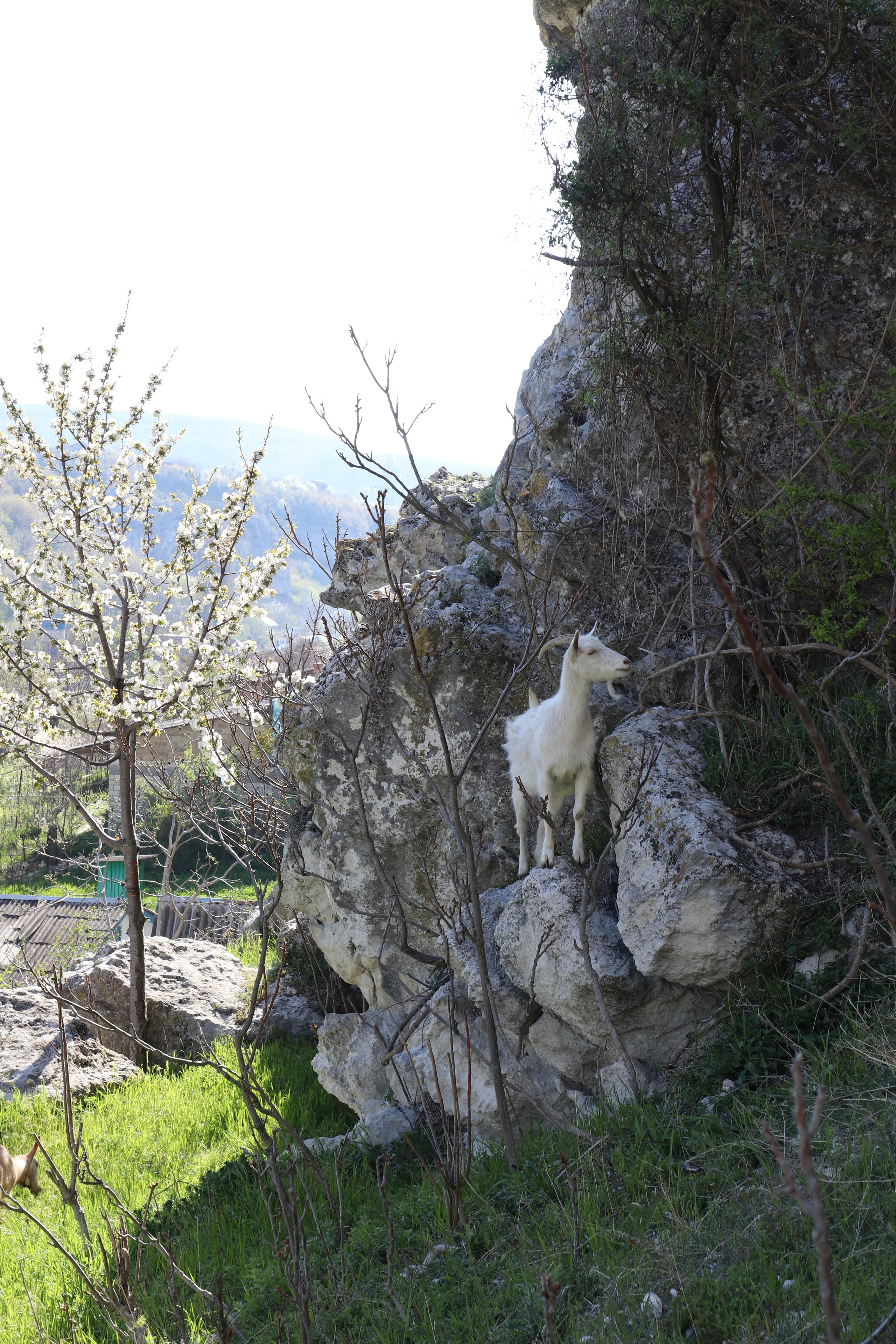 Крым. ЮБК (Бахчисарай, Кастрополь, Таракташская тропа). Май 2021. Путешественник-фотограф из Санкт-Петербурга Татьяна Свистулина