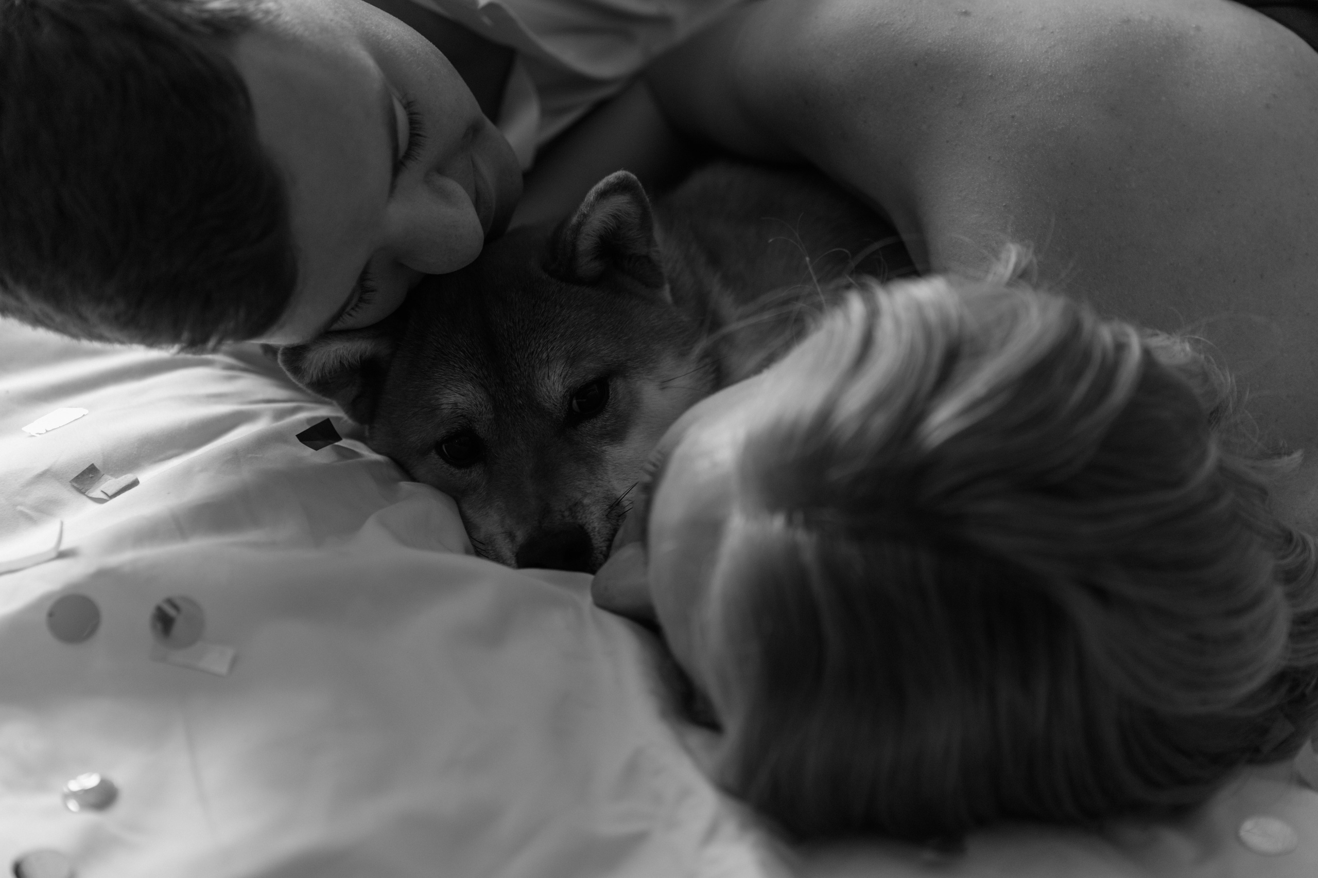 Вероника и Денис. Свадебный фотограф в Санкт-Петербурге Екатерина Евсеева