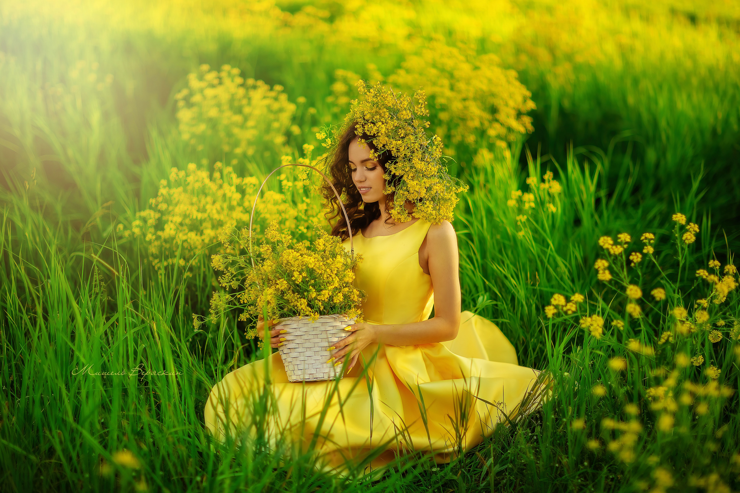 Рапсовые истории