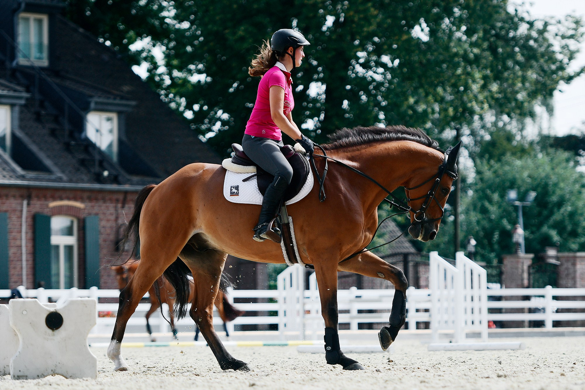 Конные клубы. Конный фотограф Alesya Safe