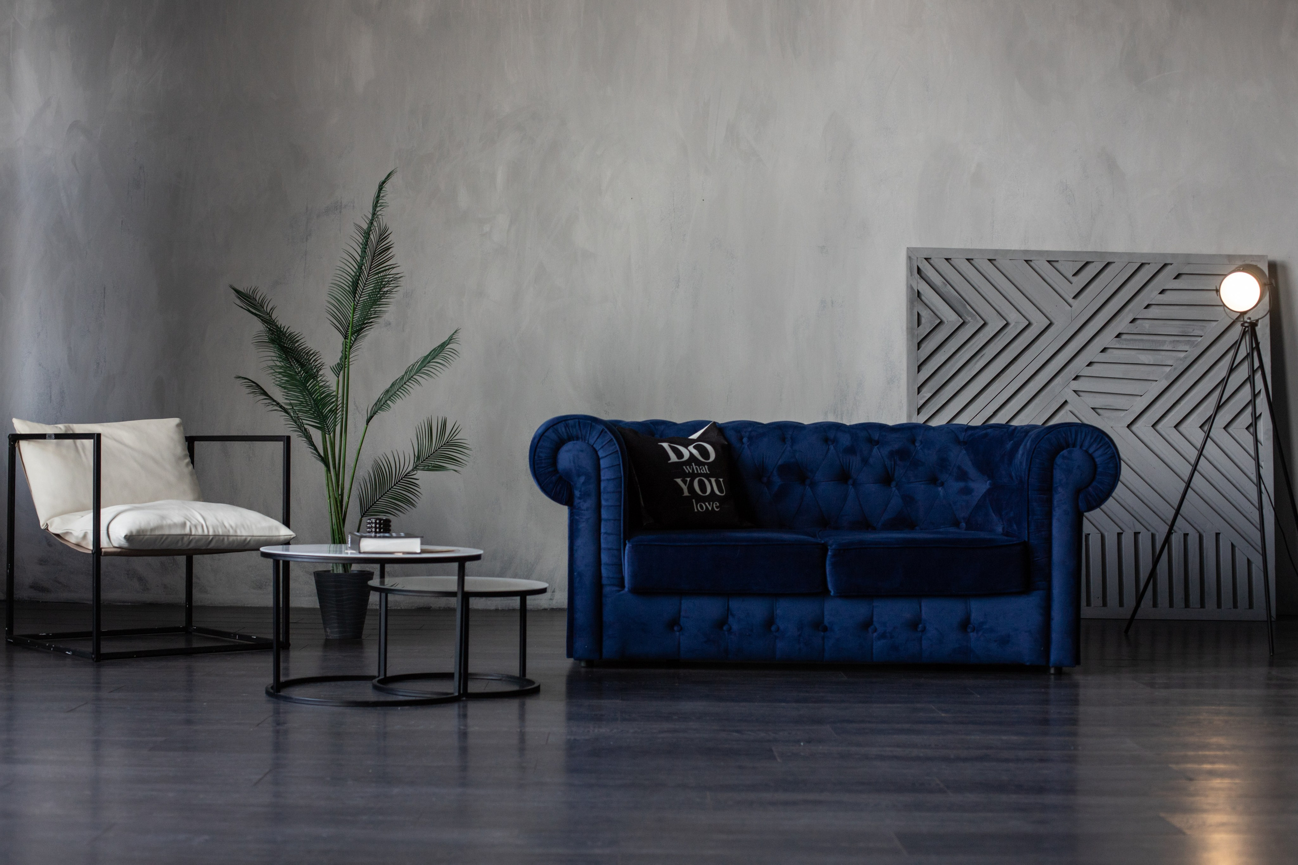 Честер (студия Зеркало). Фотограф г. Хабаровск. Семейные и индивидуальные съёмки