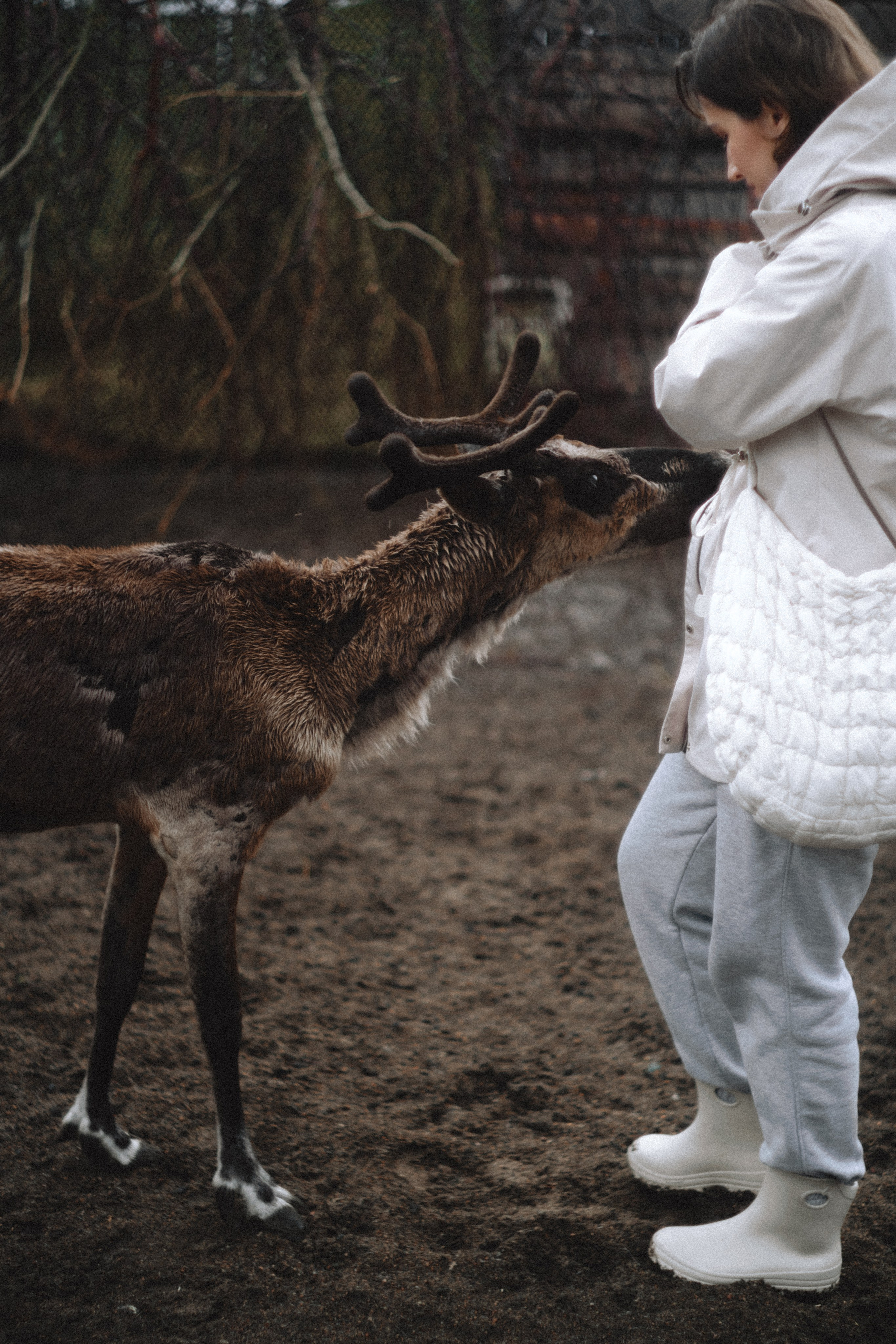 Териберка, Мурманск. Фотосъёмка для компании по организации туров в коллаборации с Яндекс 360