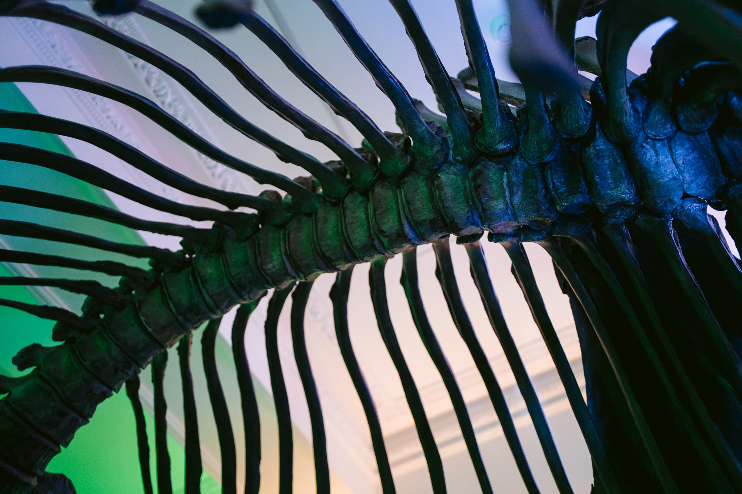 Ночь искусств 2023. Фотограф на любое событие в Кемерово