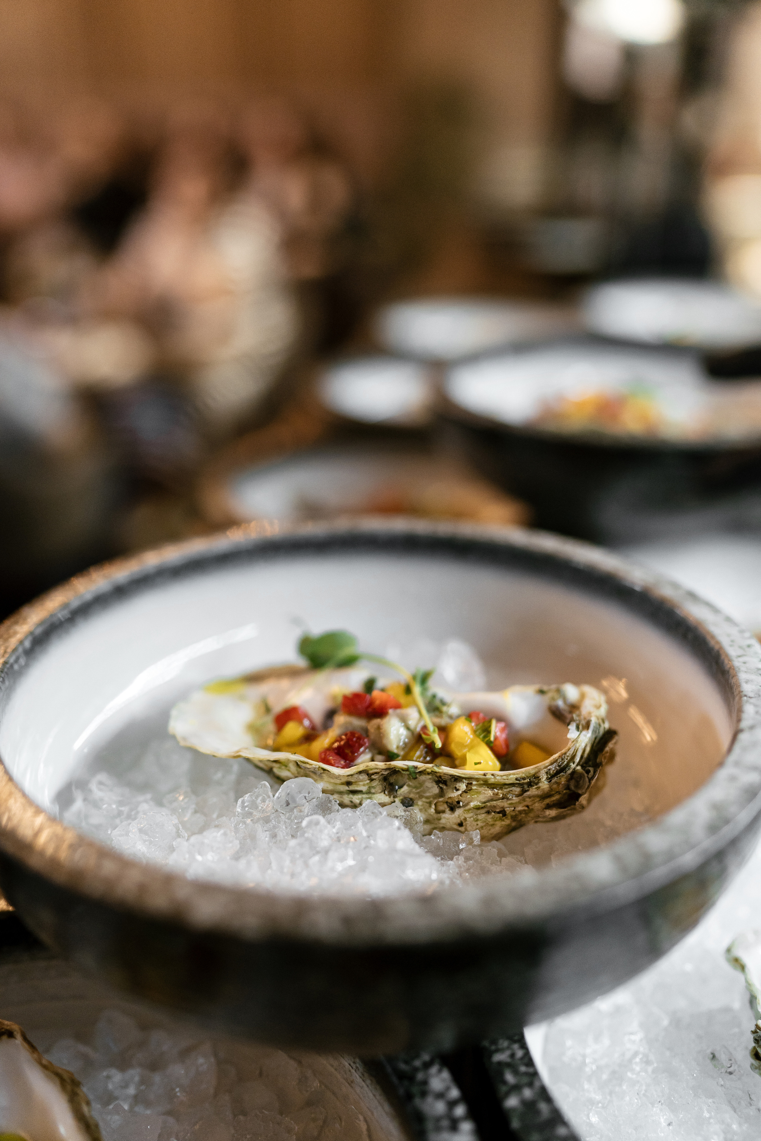 Снегири. Фотограф Томск, Новосибирск Влад Свириденко