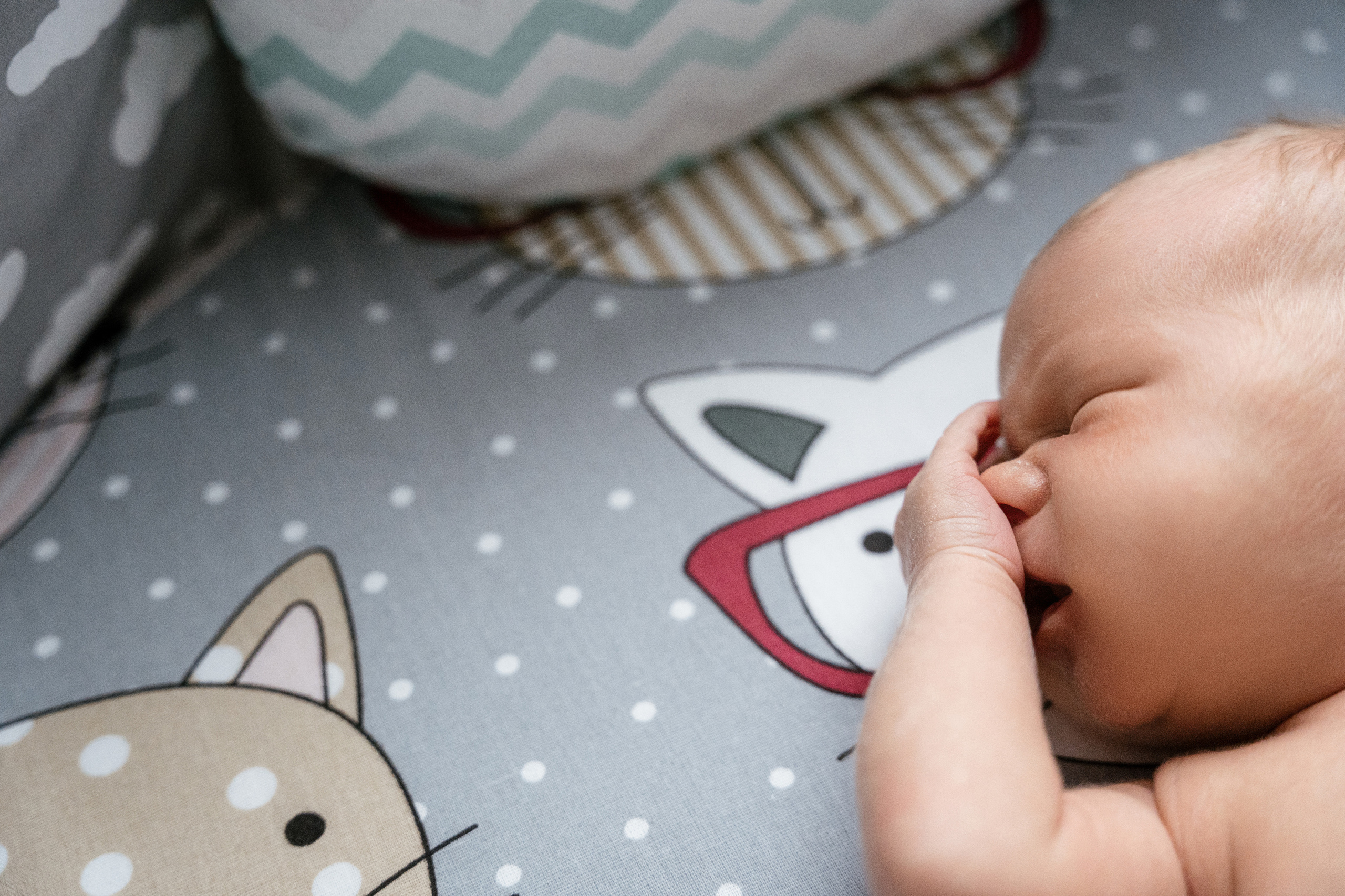 1+1=3. Фотограф Томск, Новосибирск Влад Свириденко