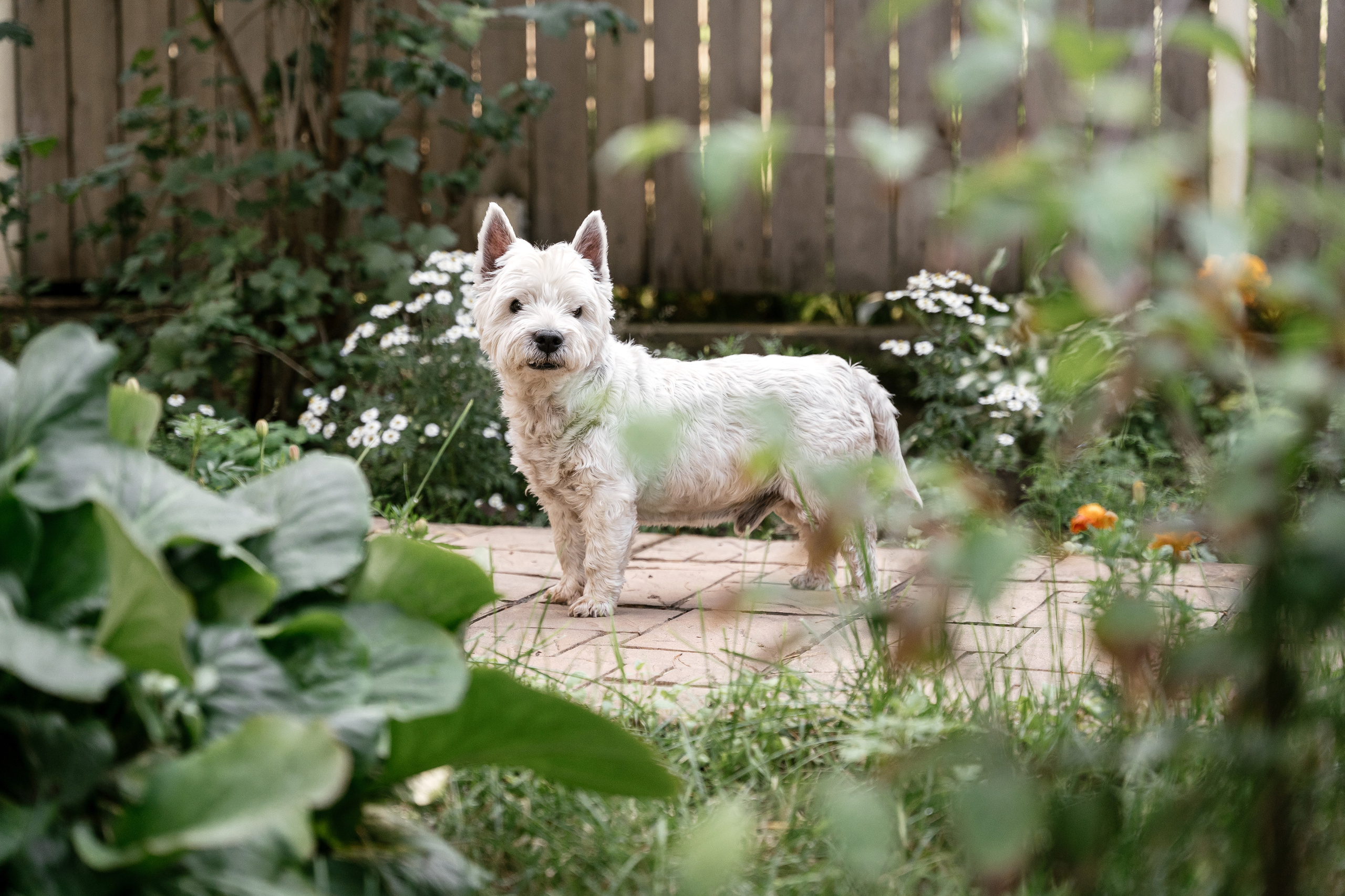 20.07.2021. Фотограф Томск, Новосибирск Влад Свириденко