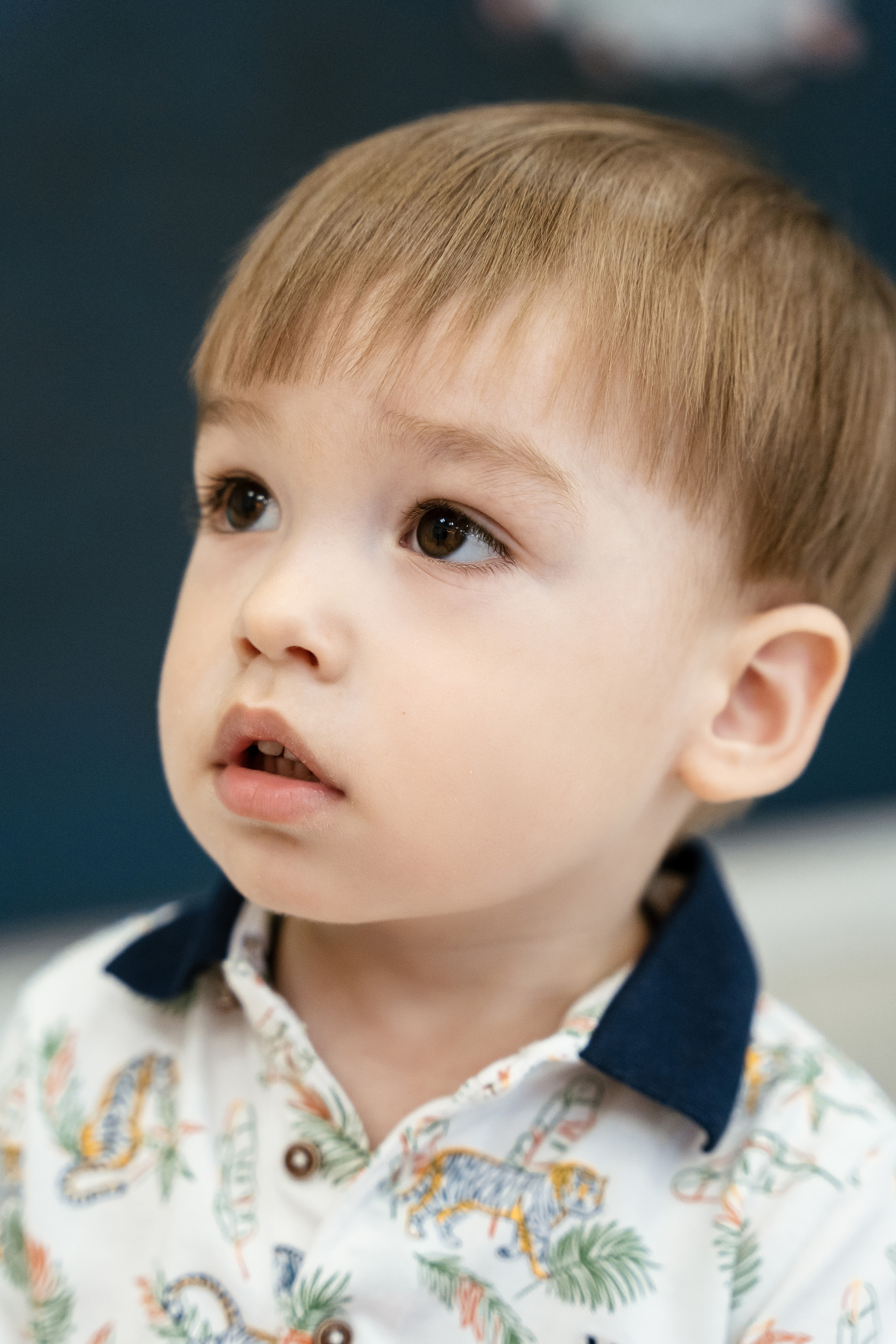 Лёше 2 года. Фотограф Томск, Новосибирск Влад Свириденко