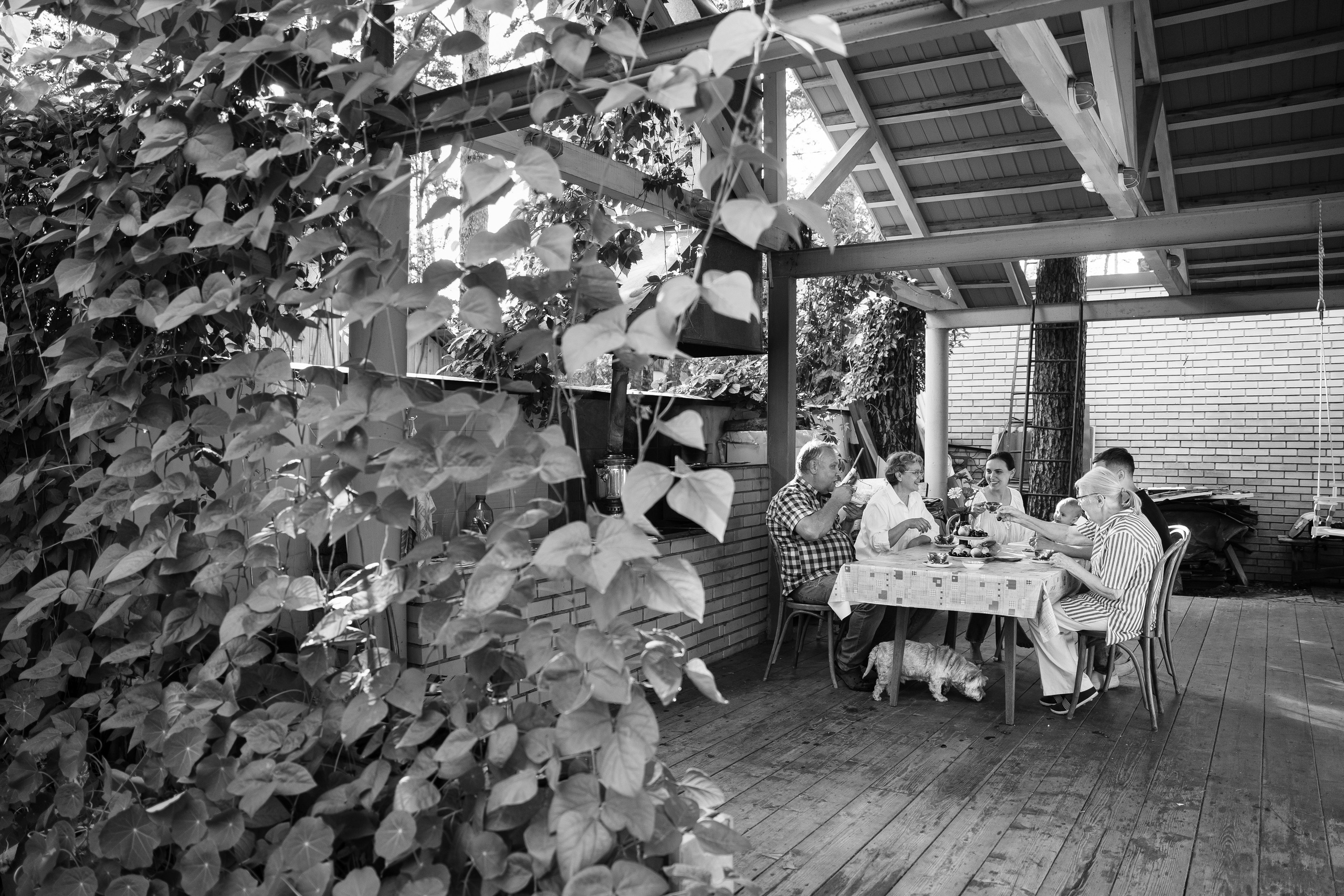 20.07.2021. Фотограф Томск, Новосибирск Влад Свириденко