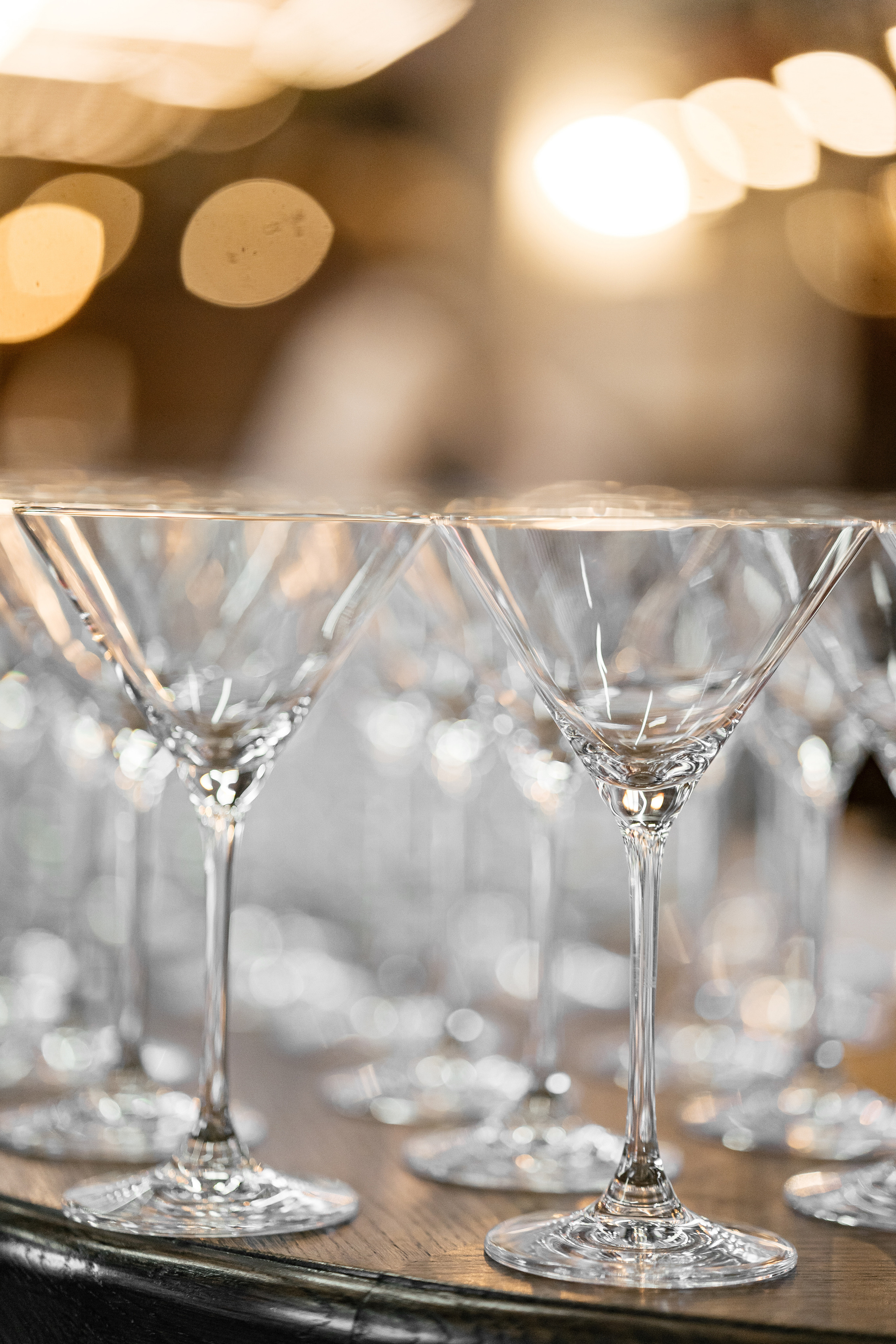 Снегири. Фотограф Томск, Новосибирск Влад Свириденко