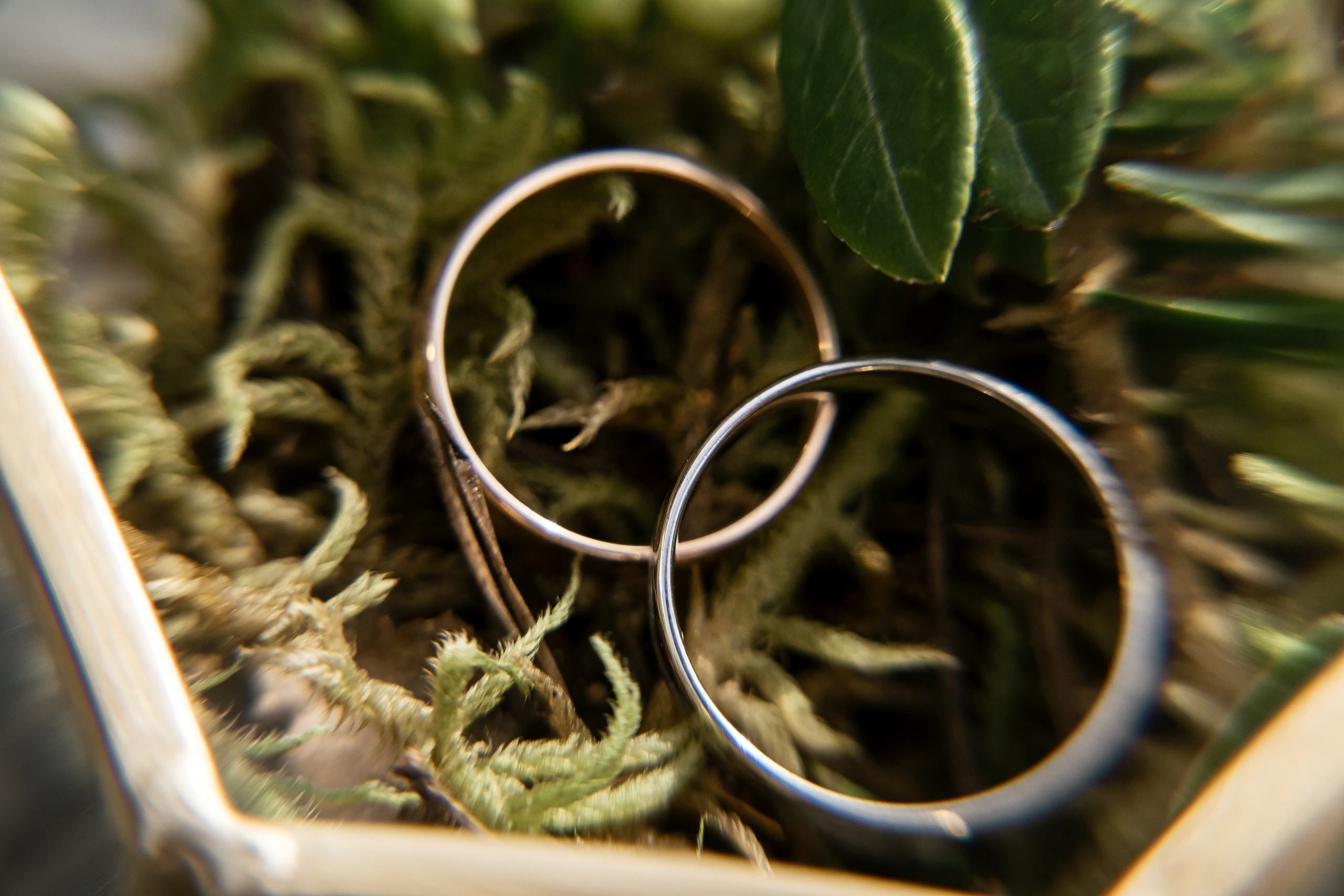 15.07.2021 Wedding day. Фотограф Томск, Новосибирск Влад Свириденко