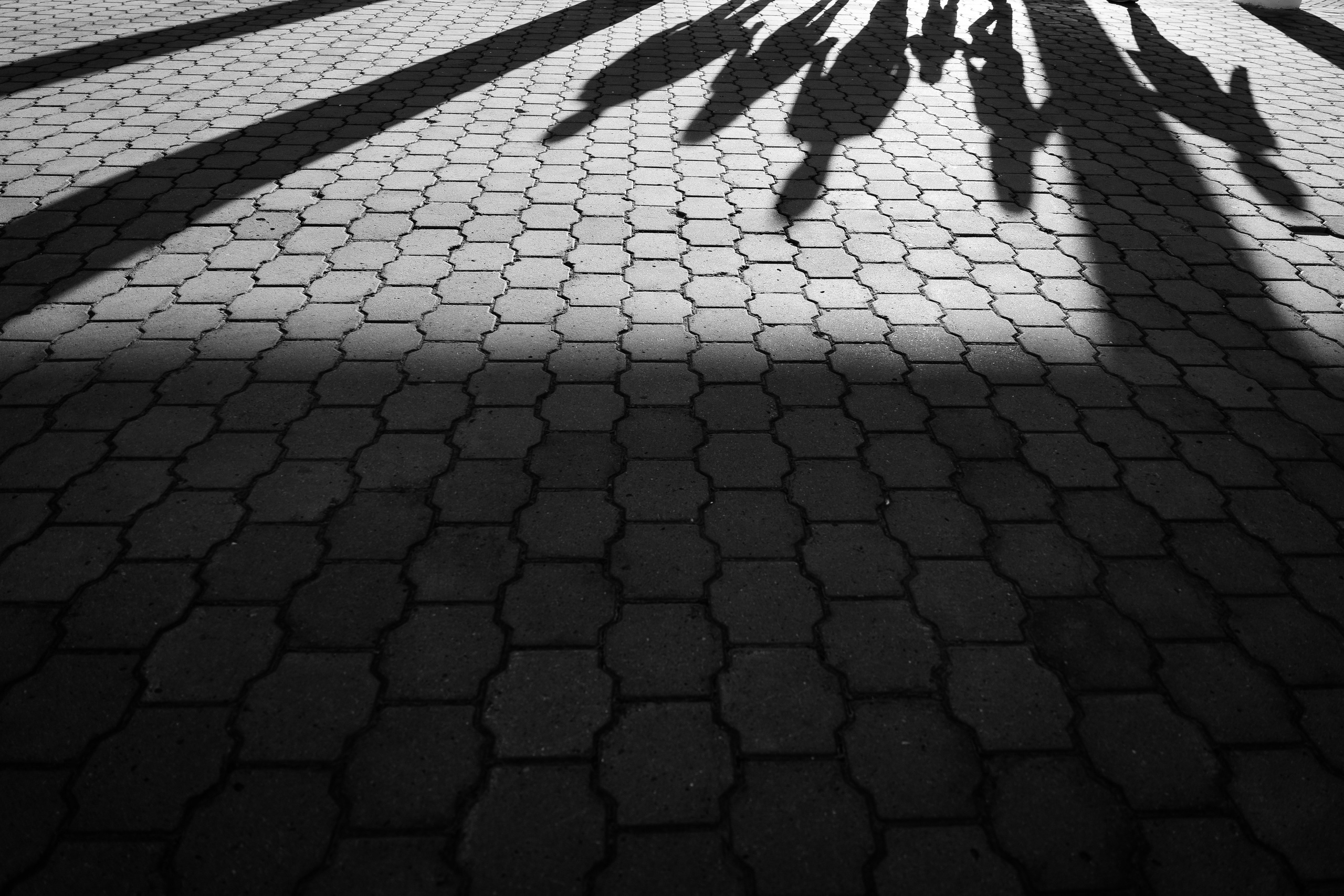 Family. Фотограф Томск, Новосибирск Влад Свириденко