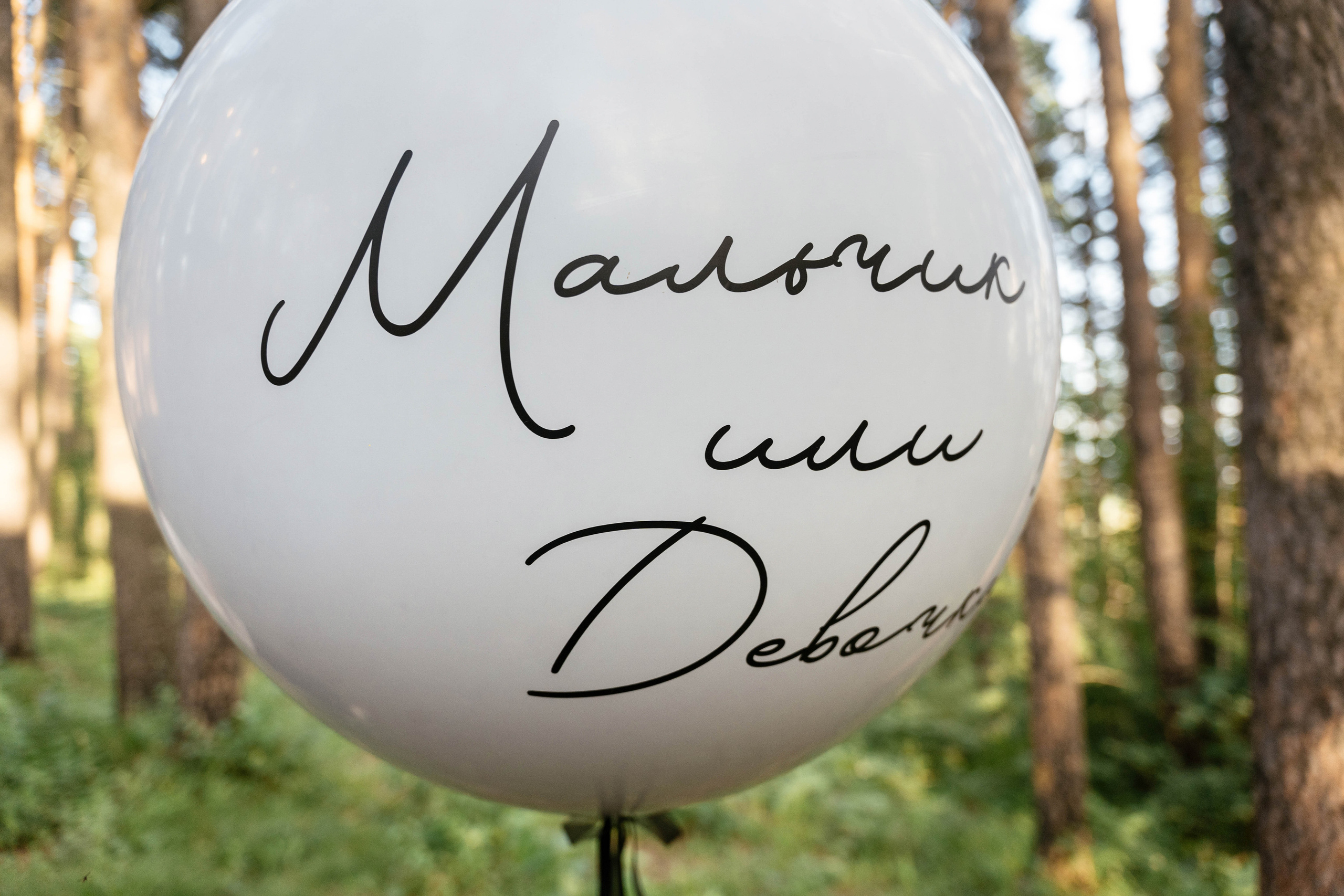 Boy or Girl. Фотограф Томск, Новосибирск Влад Свириденко