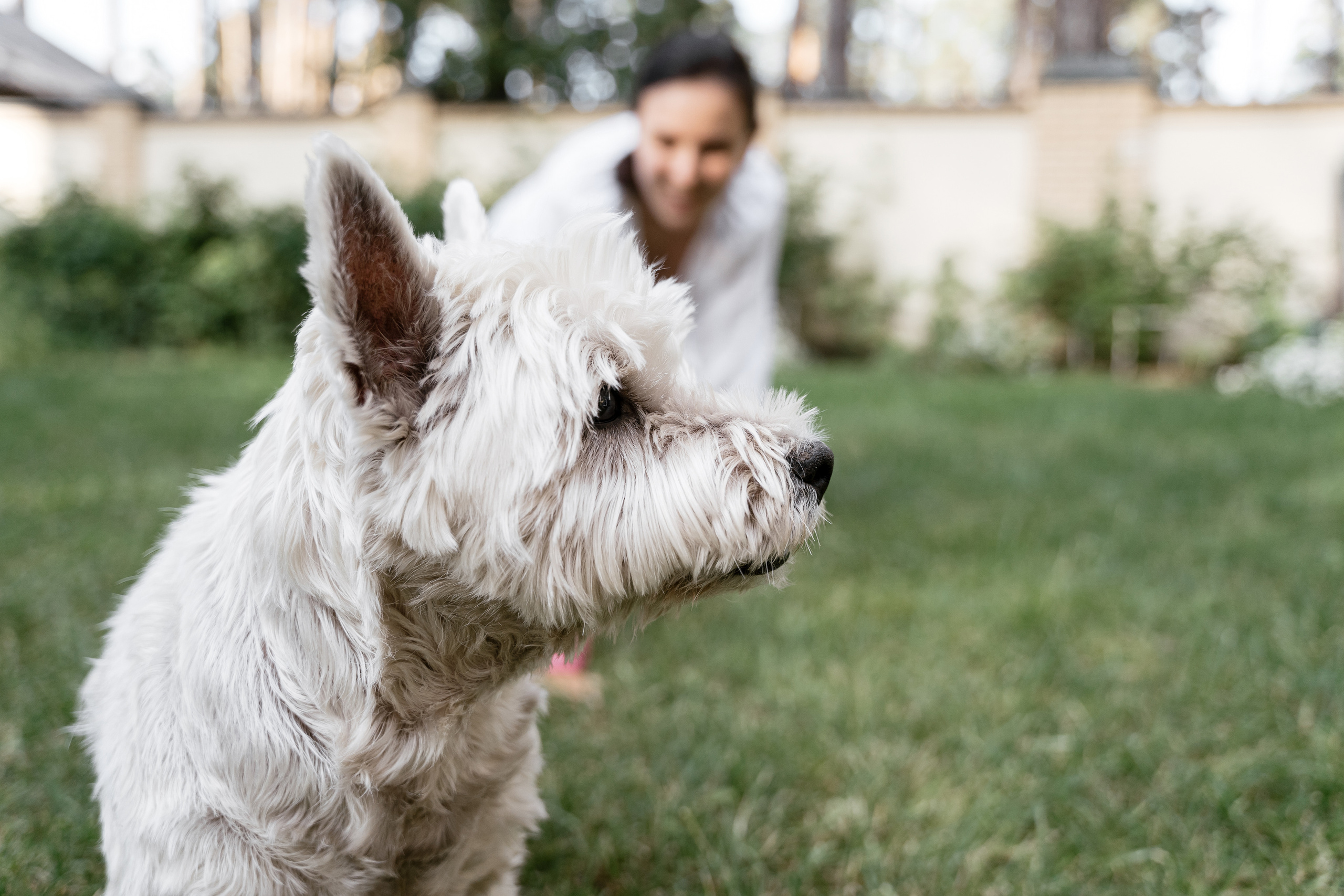 20.07.2021. Фотограф Томск, Новосибирск Влад Свириденко