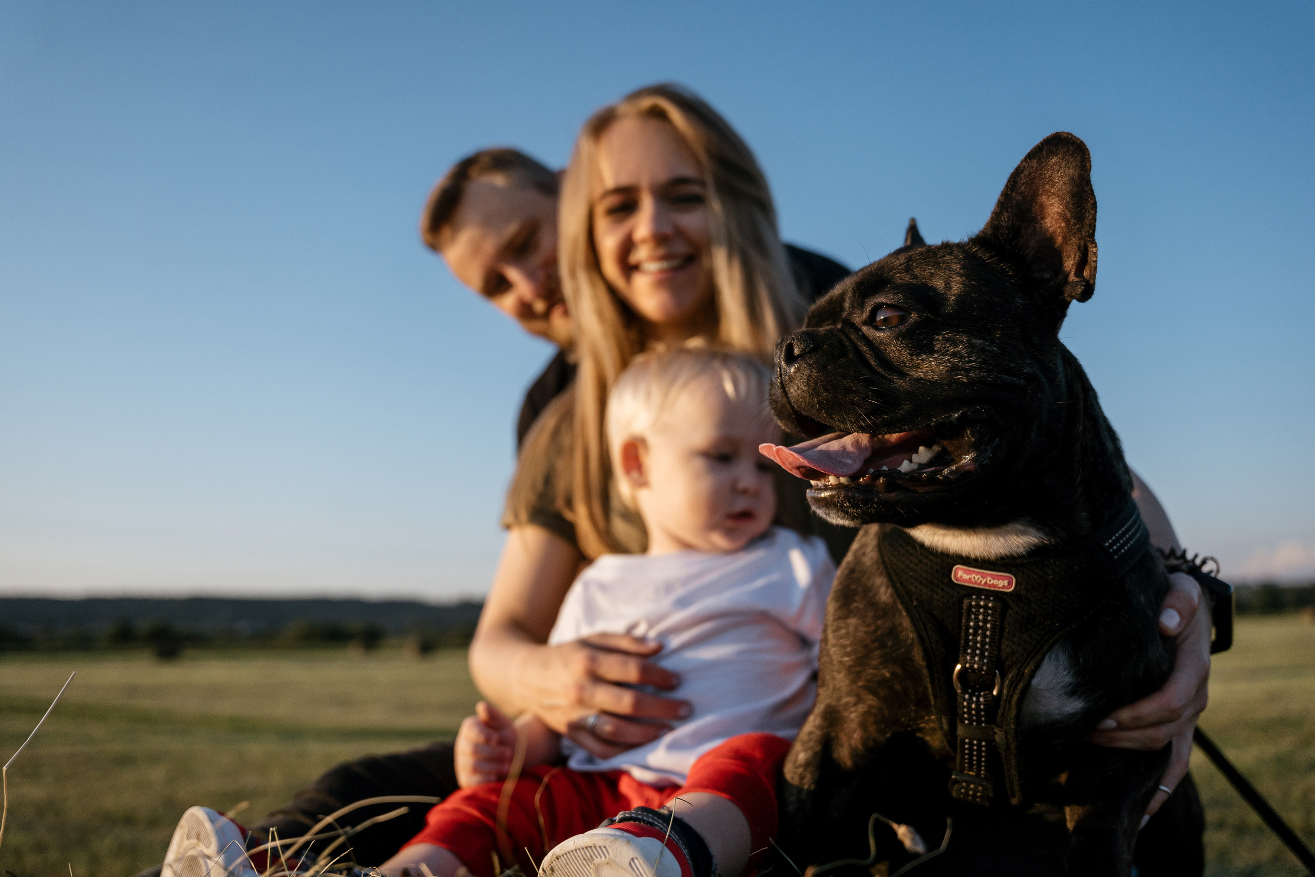01.08.2021 Family. Фотограф Томск, Новосибирск Влад Свириденко