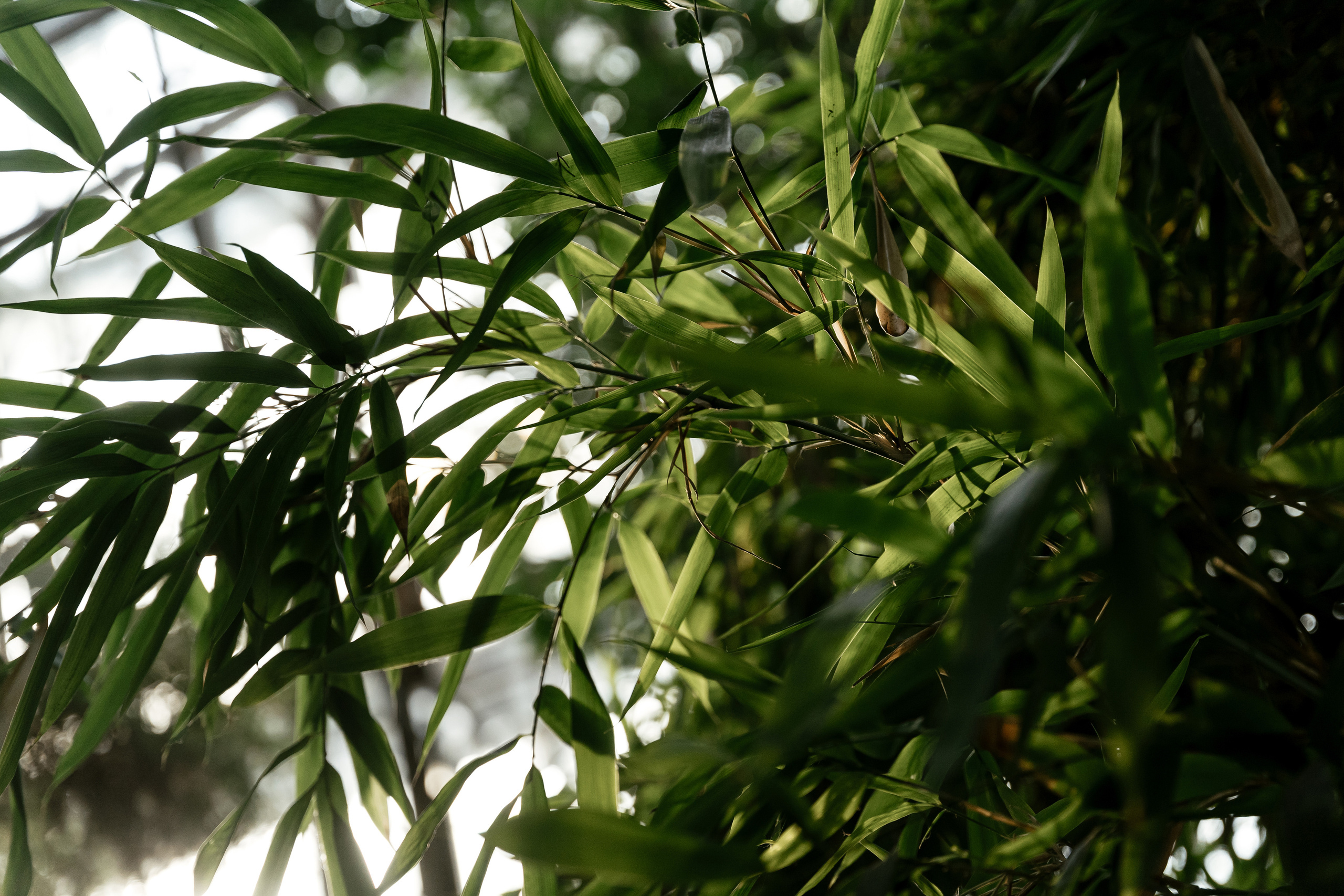 19.03.21 Матвей и Катя. Фотограф Томск, Новосибирск Влад Свириденко