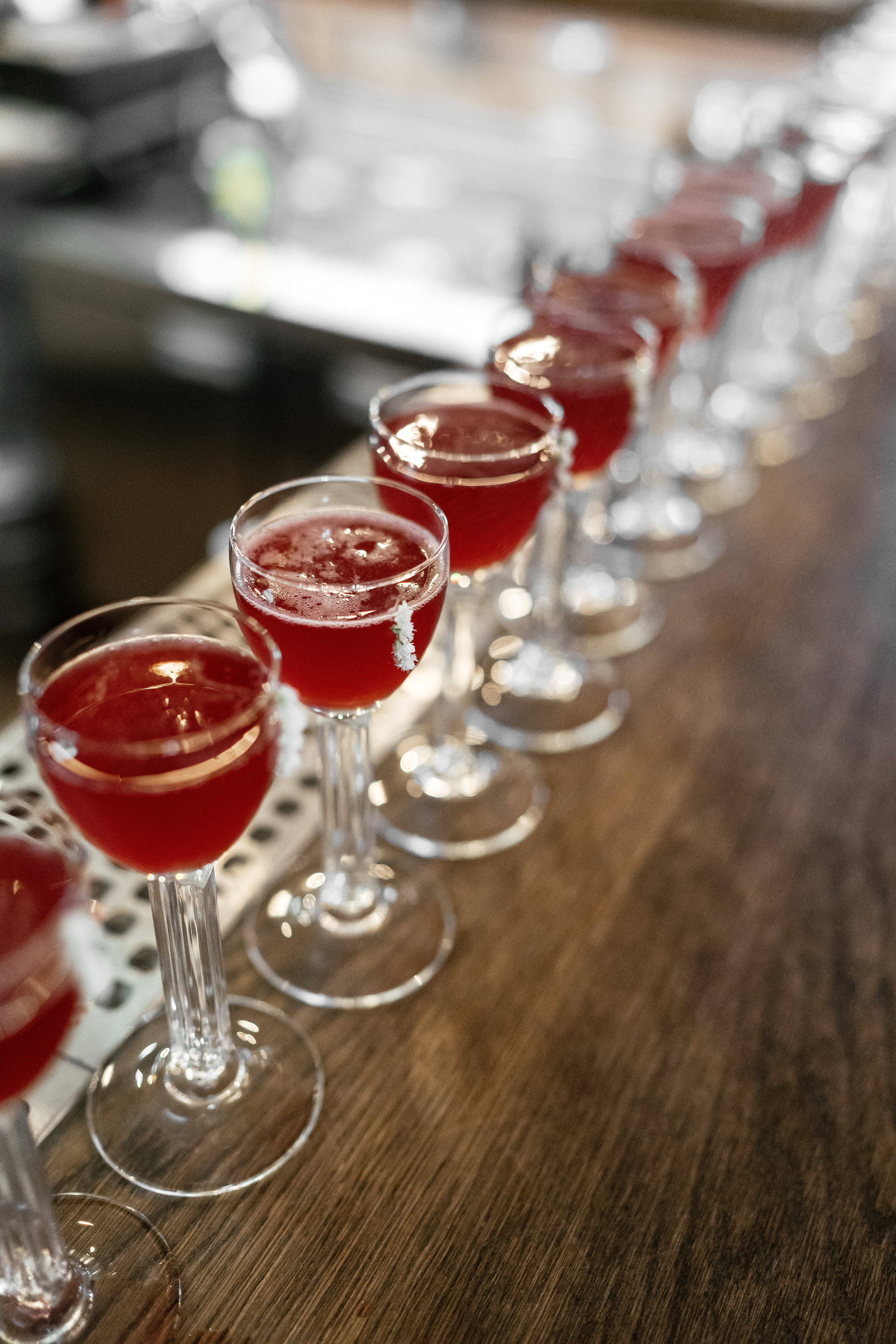 Снегири. Фотограф Томск, Новосибирск Влад Свириденко