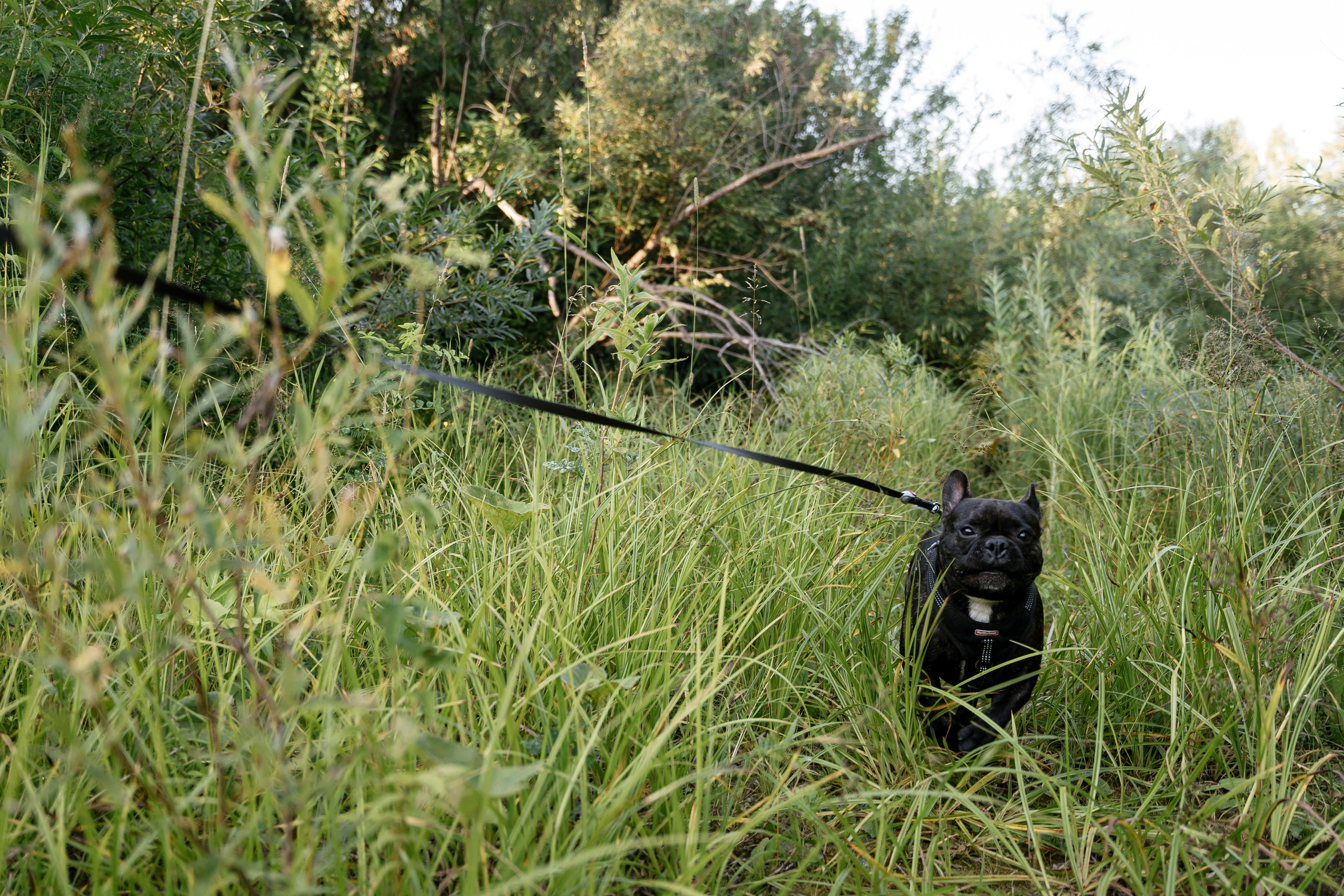 01.08.2021 Family. Фотограф Томск, Новосибирск Влад Свириденко