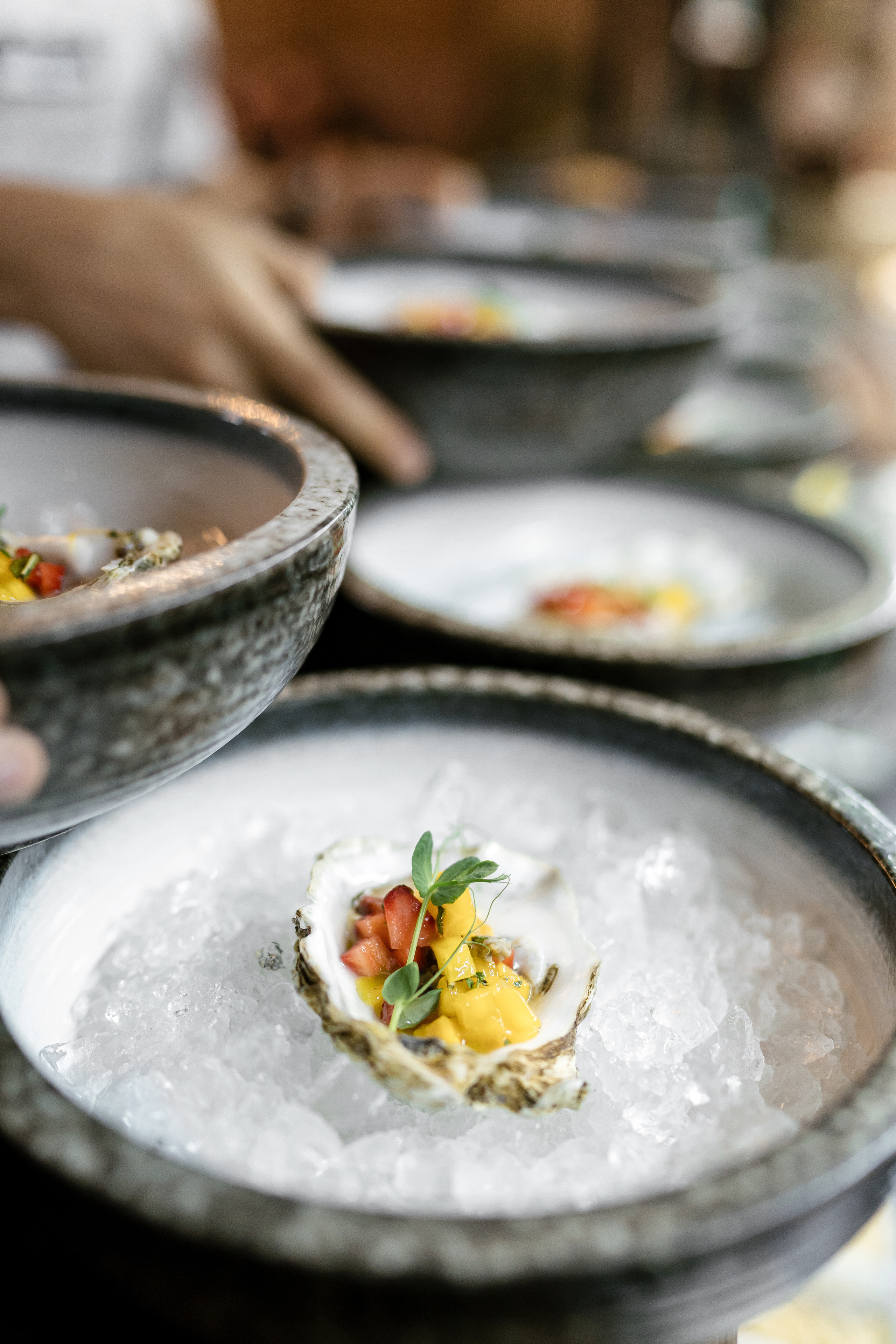 Снегири. Фотограф Томск, Новосибирск Влад Свириденко