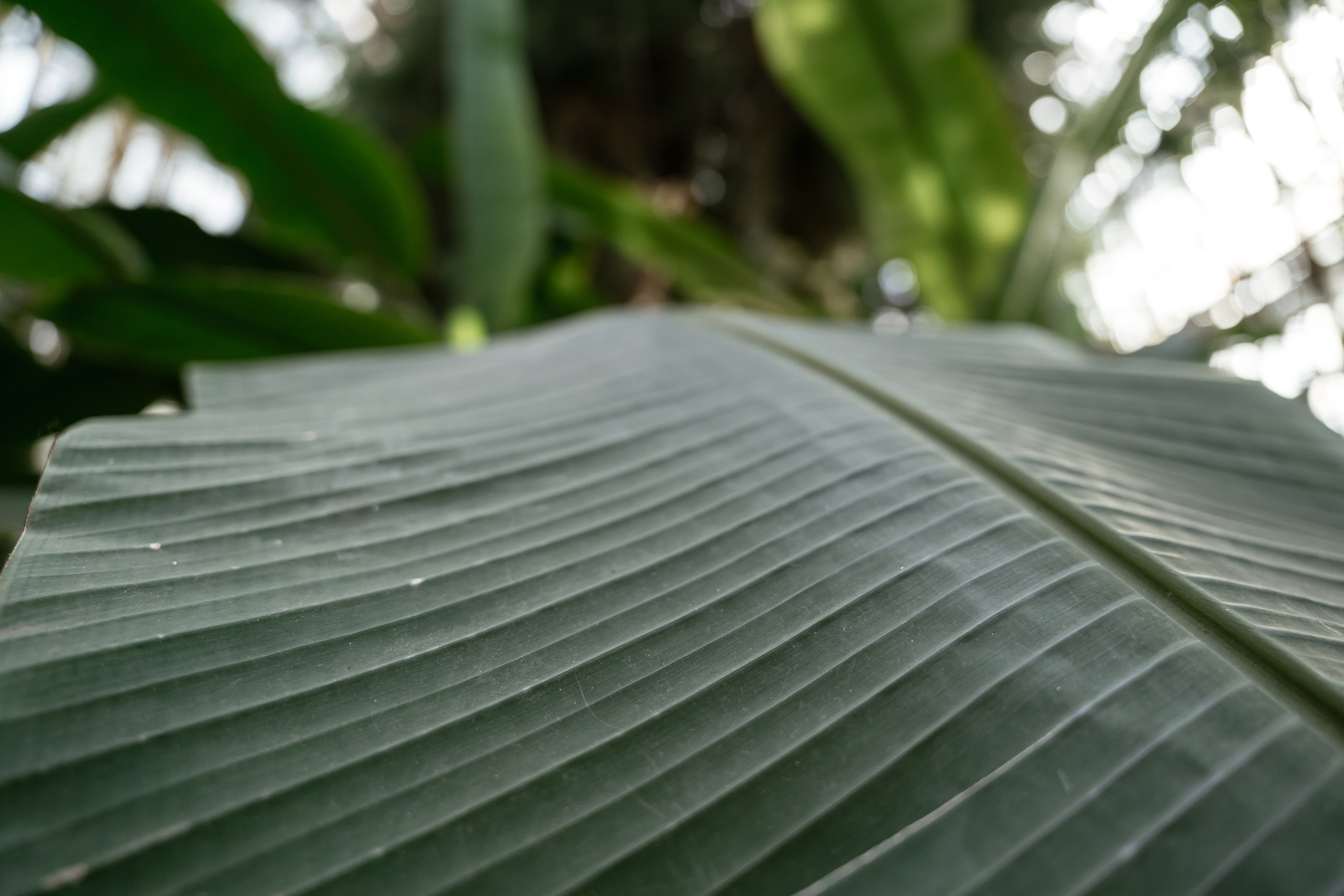 19.03.21 Матвей и Катя. Фотограф Томск, Новосибирск Влад Свириденко