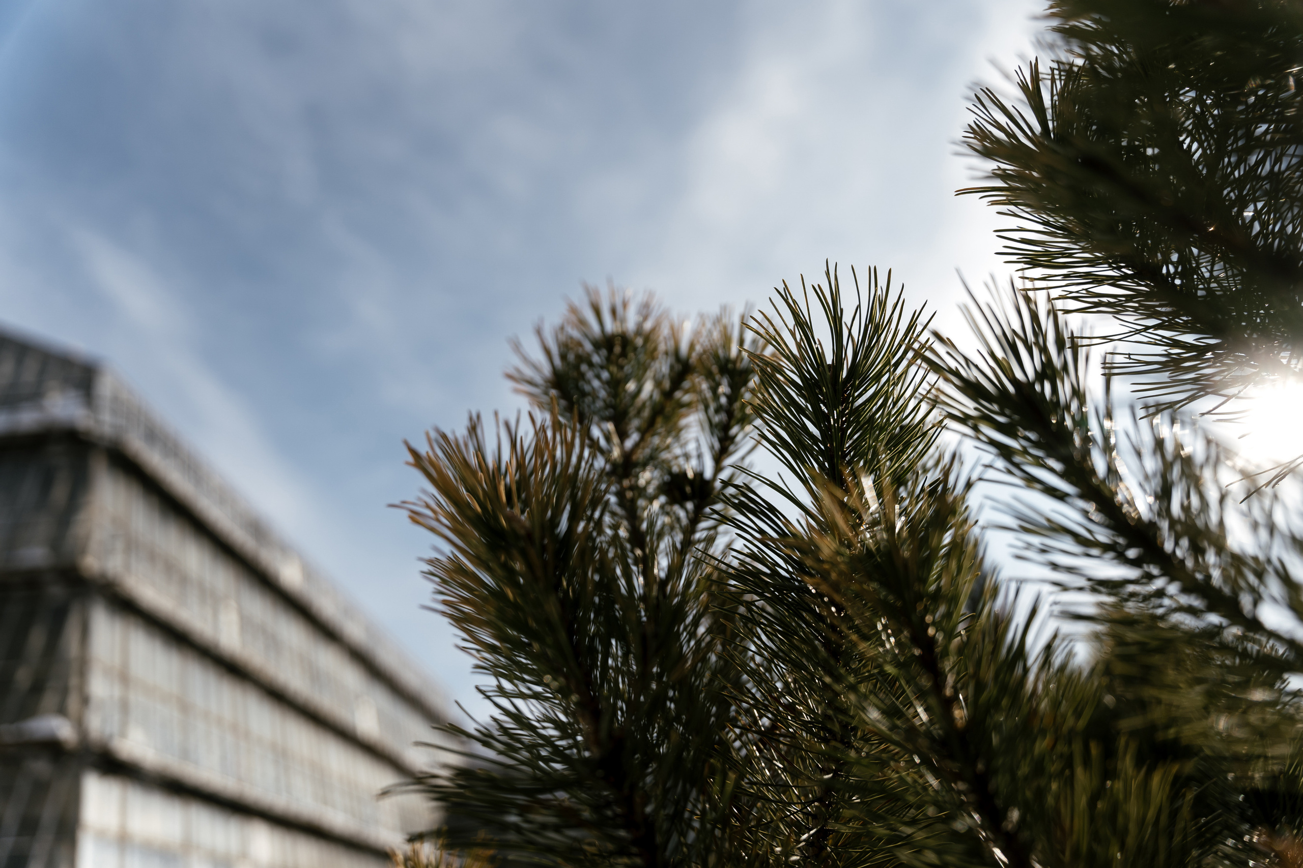 19.03.21 Матвей и Катя. Фотограф Томск, Новосибирск Влад Свириденко