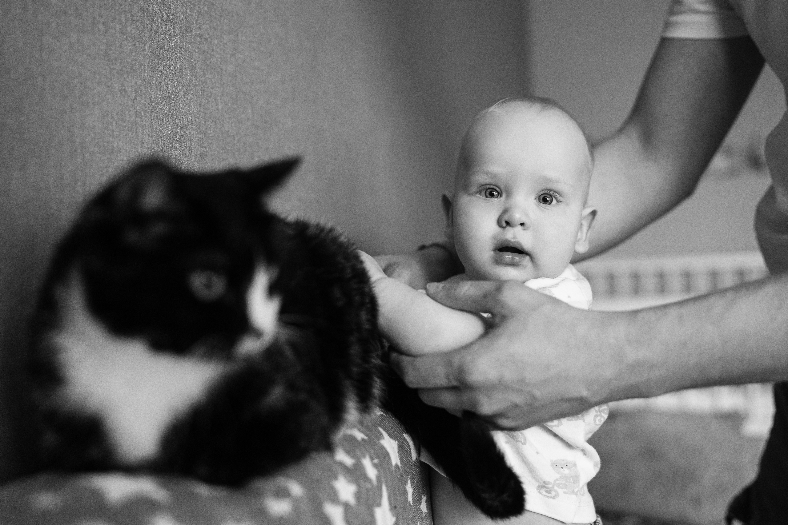 21.06.2021 Family. Фотограф Томск, Новосибирск Влад Свириденко