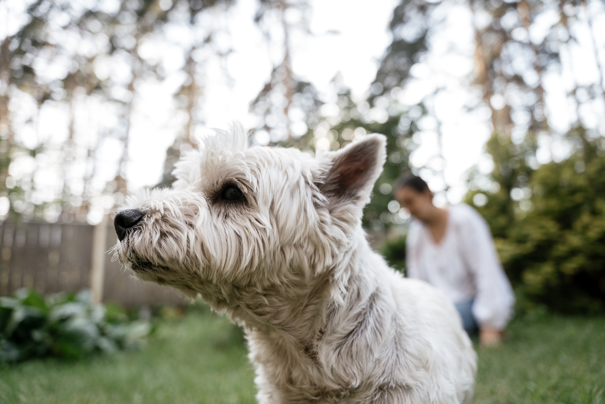 20.07.2021. Фотограф Томск, Новосибирск Влад Свириденко