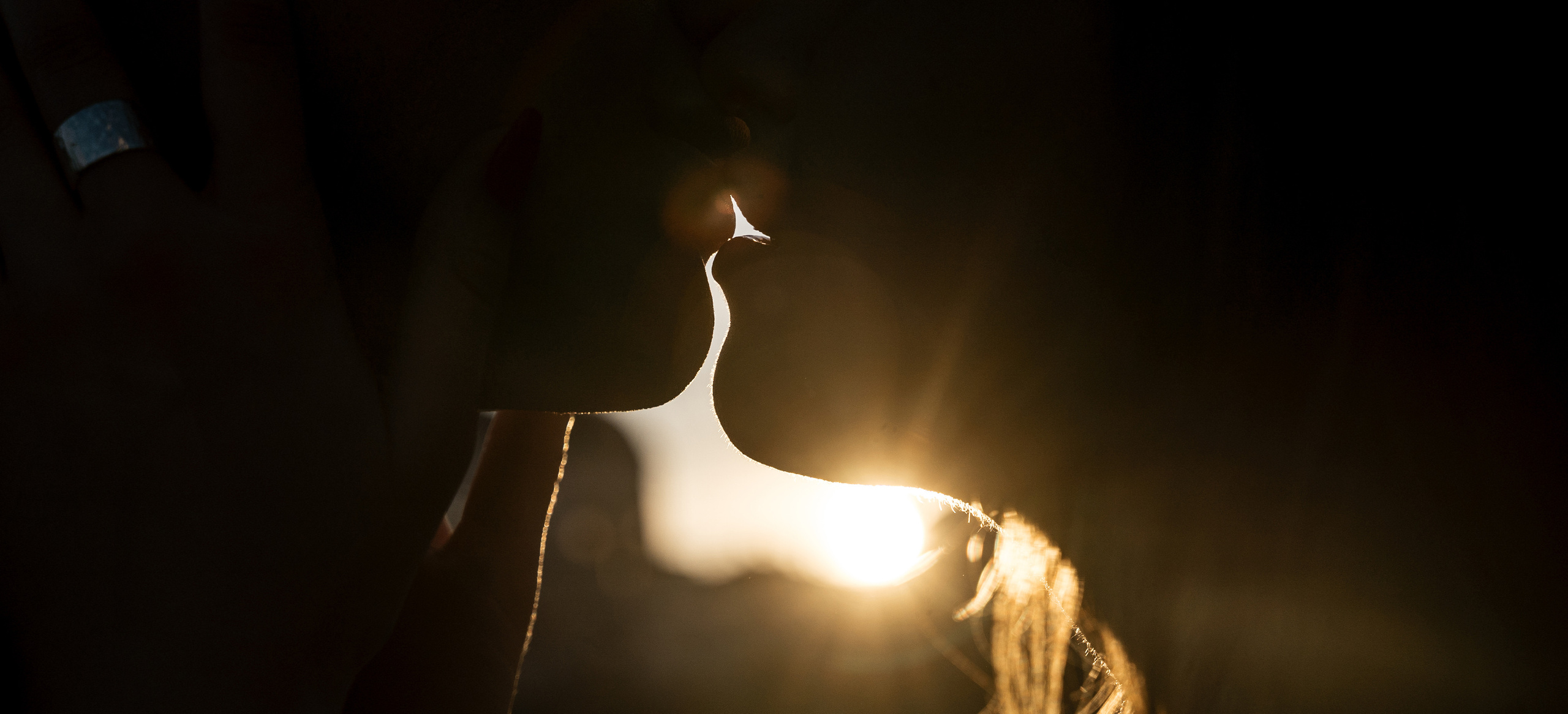 11.07.2021 Love Story. Фотограф Томск, Новосибирск Влад Свириденко